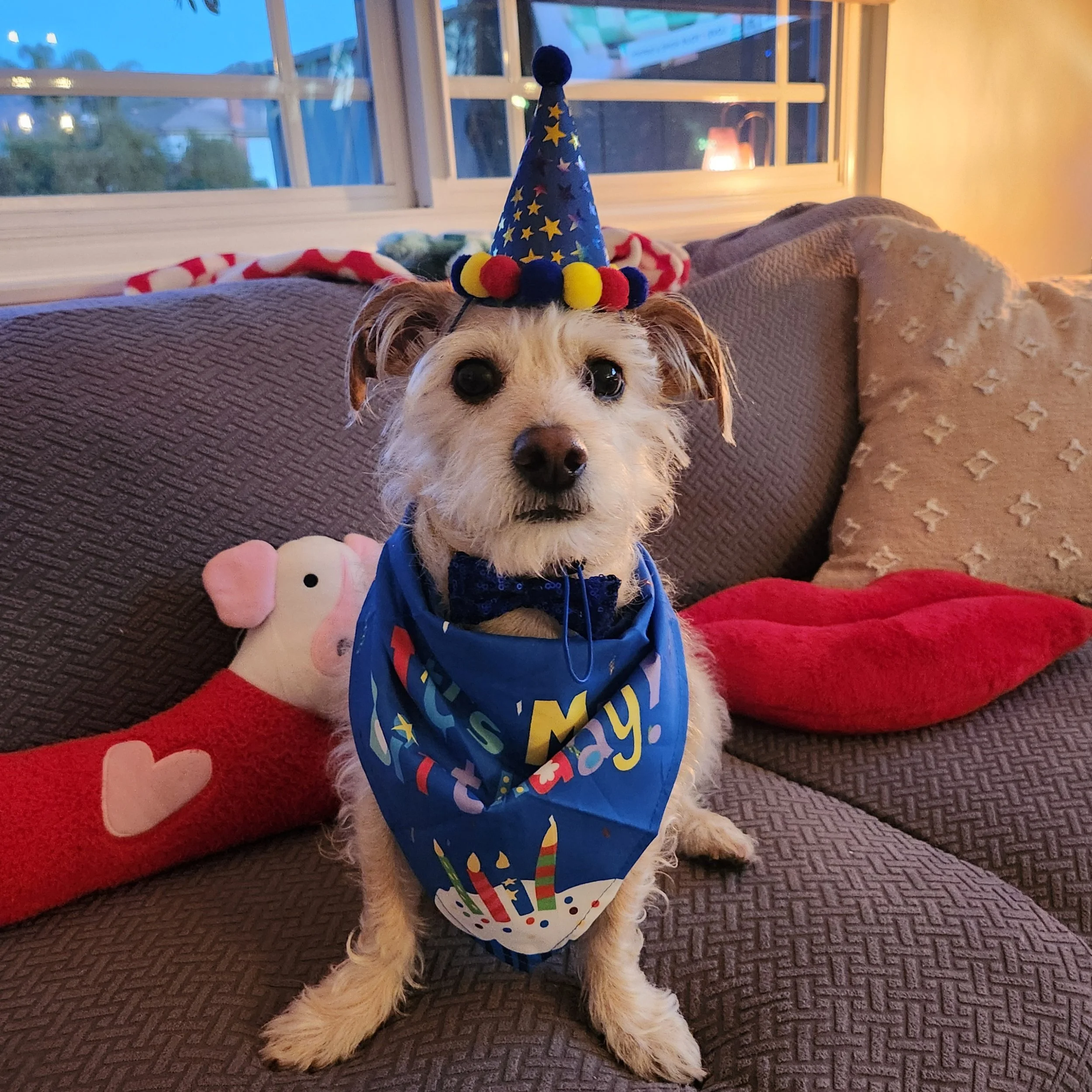 Entry #17 - "Gus" by Monica Rost