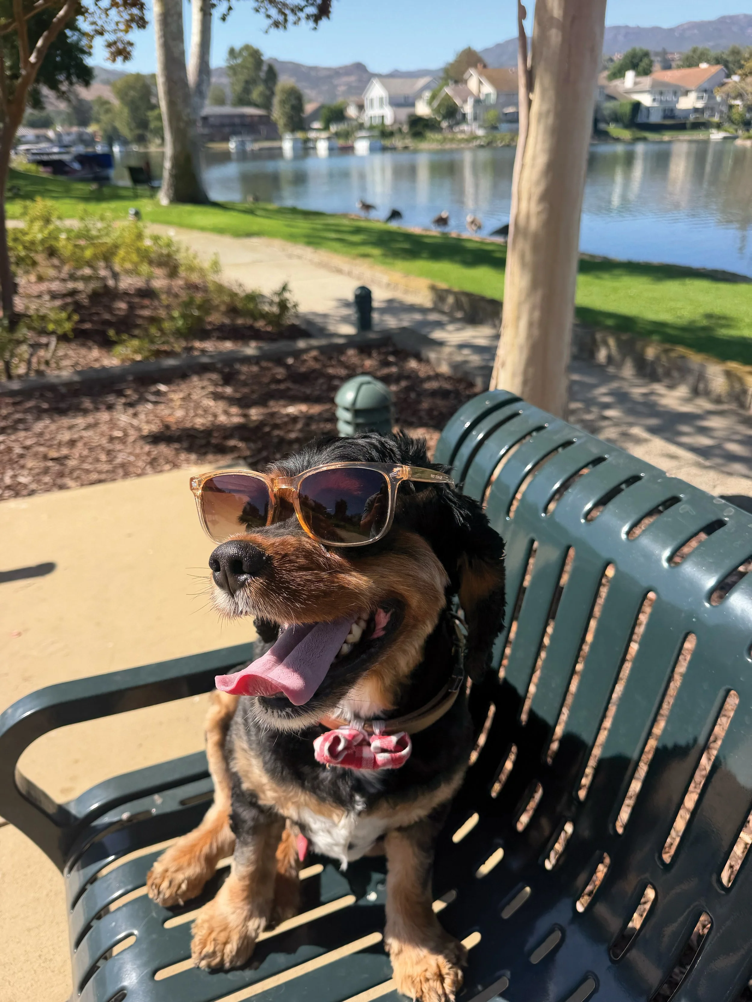 Entry #19 - "Lucky" by Ryan O'Leary