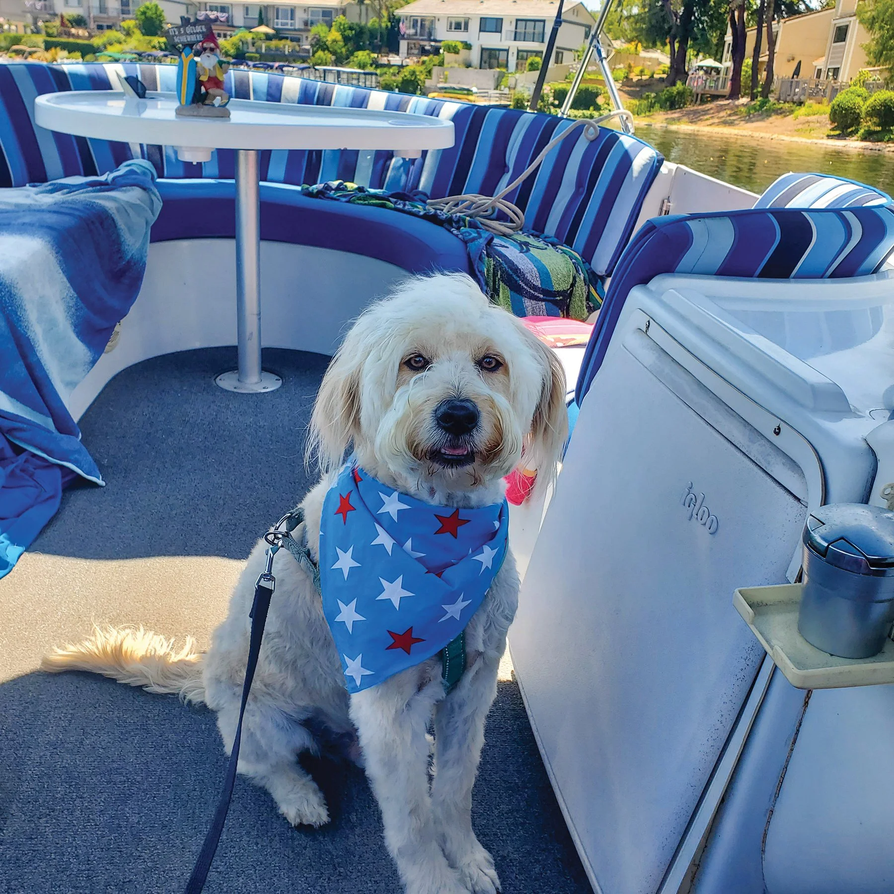 Entry #4 - "Arnie" by Donna & John