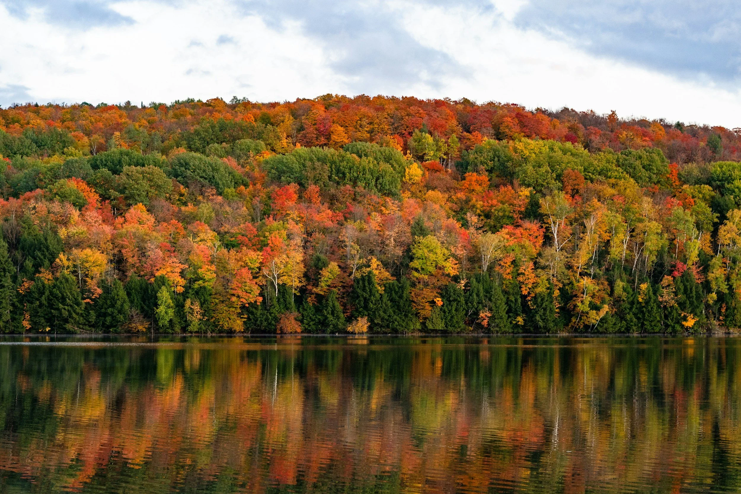 Scenic view of a forest with colorful fall foliage reflected on a calm body of water.