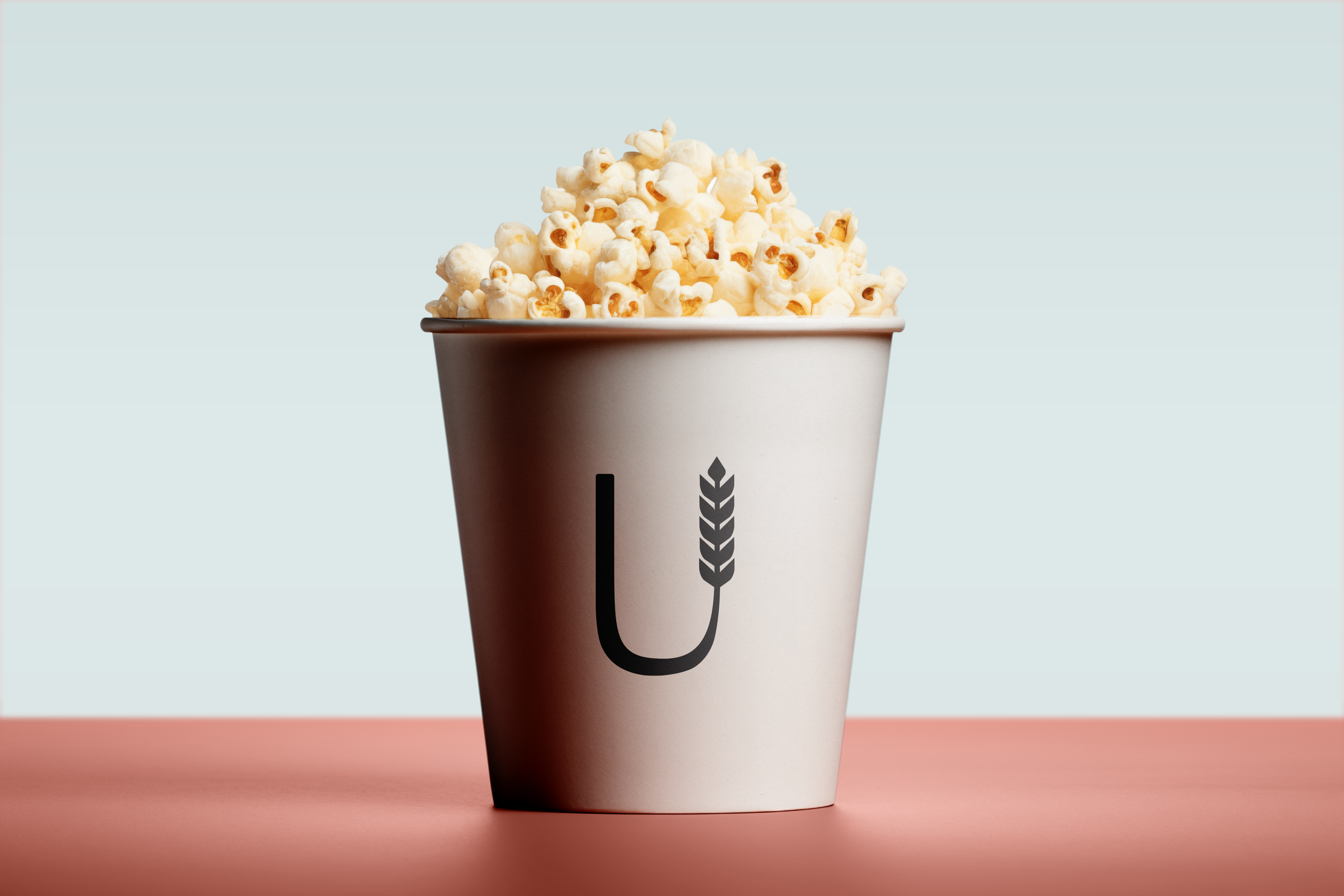 Brand Identity