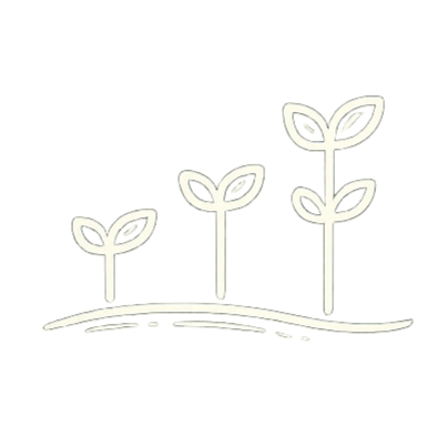 Four-step Personal Operations process: Clarify, Organize, and Execute to move from overwhelm to organized action.