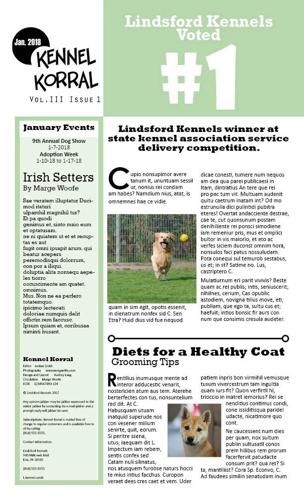 Newsletter with March 2018 issue, highlighting Lindsfors Kennels' #1 vote, January events, Irish Setters, dog show, diet tips, and puppy photo.