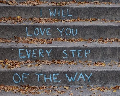 SS-steps.jpg