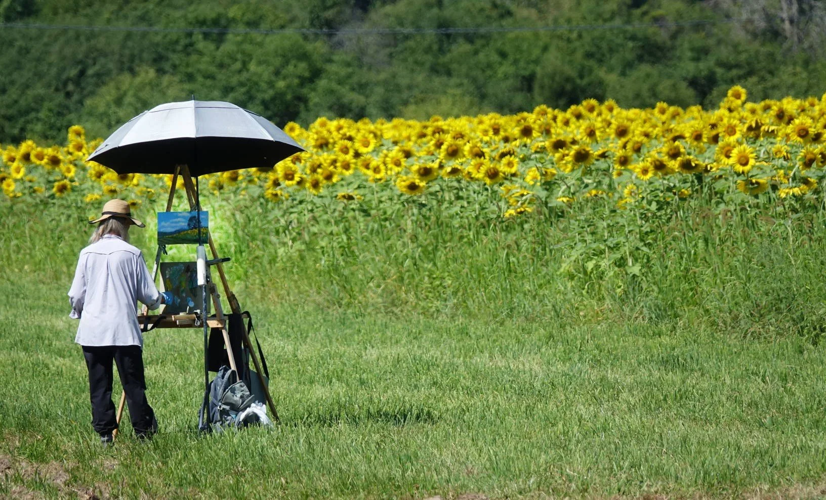 Painting Sunflowers