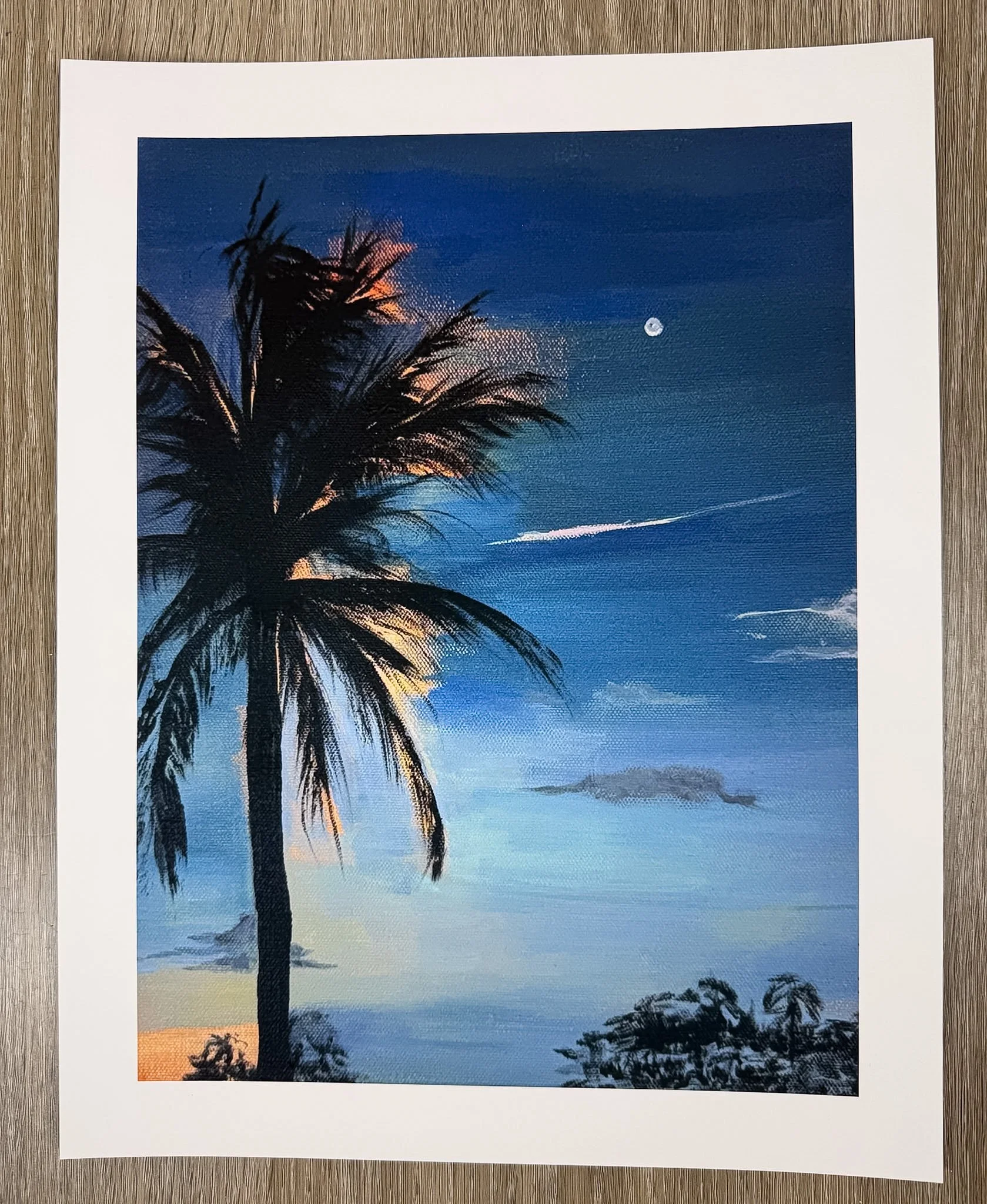 Evening Palm Fine Art Print