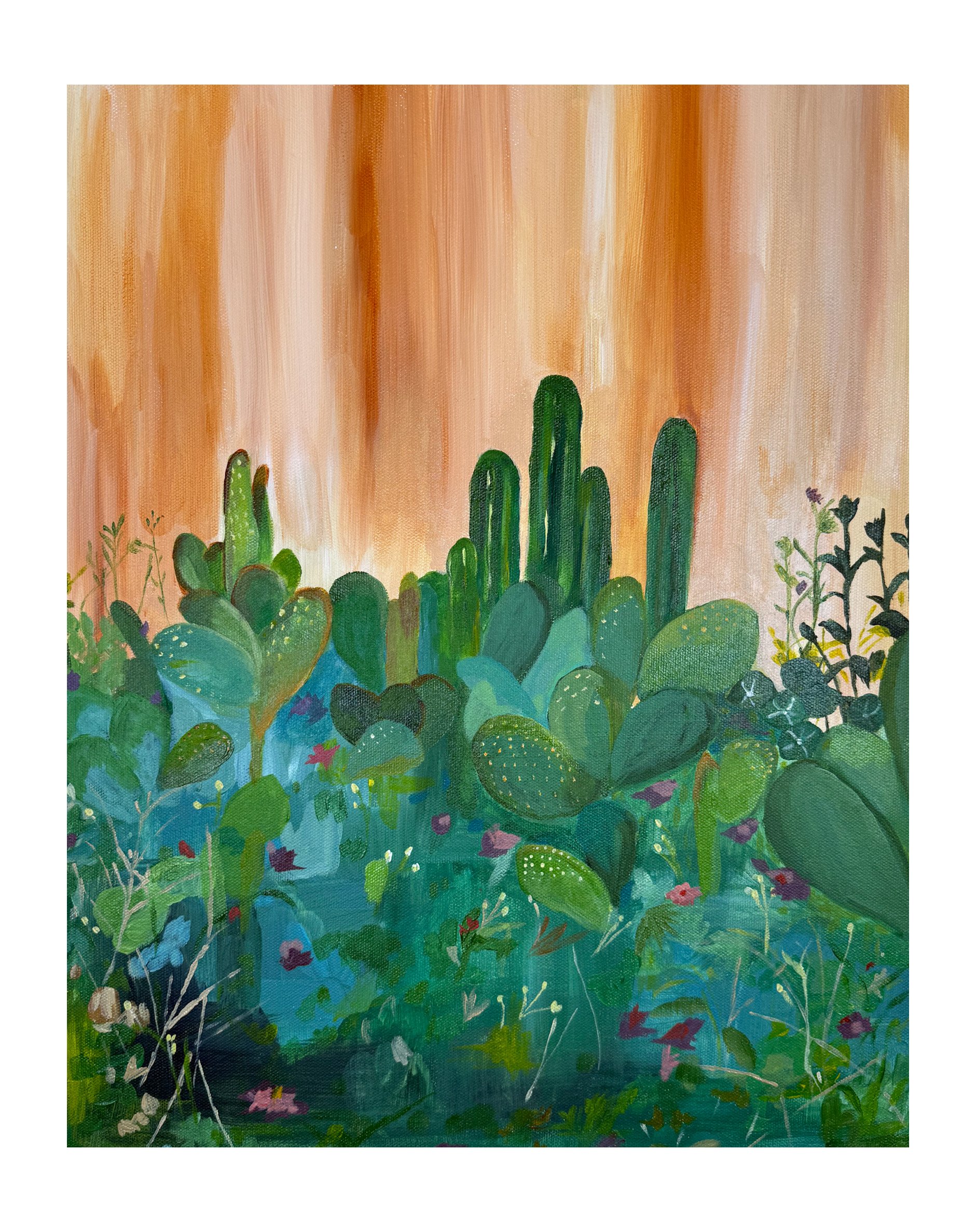 Cactus Garden