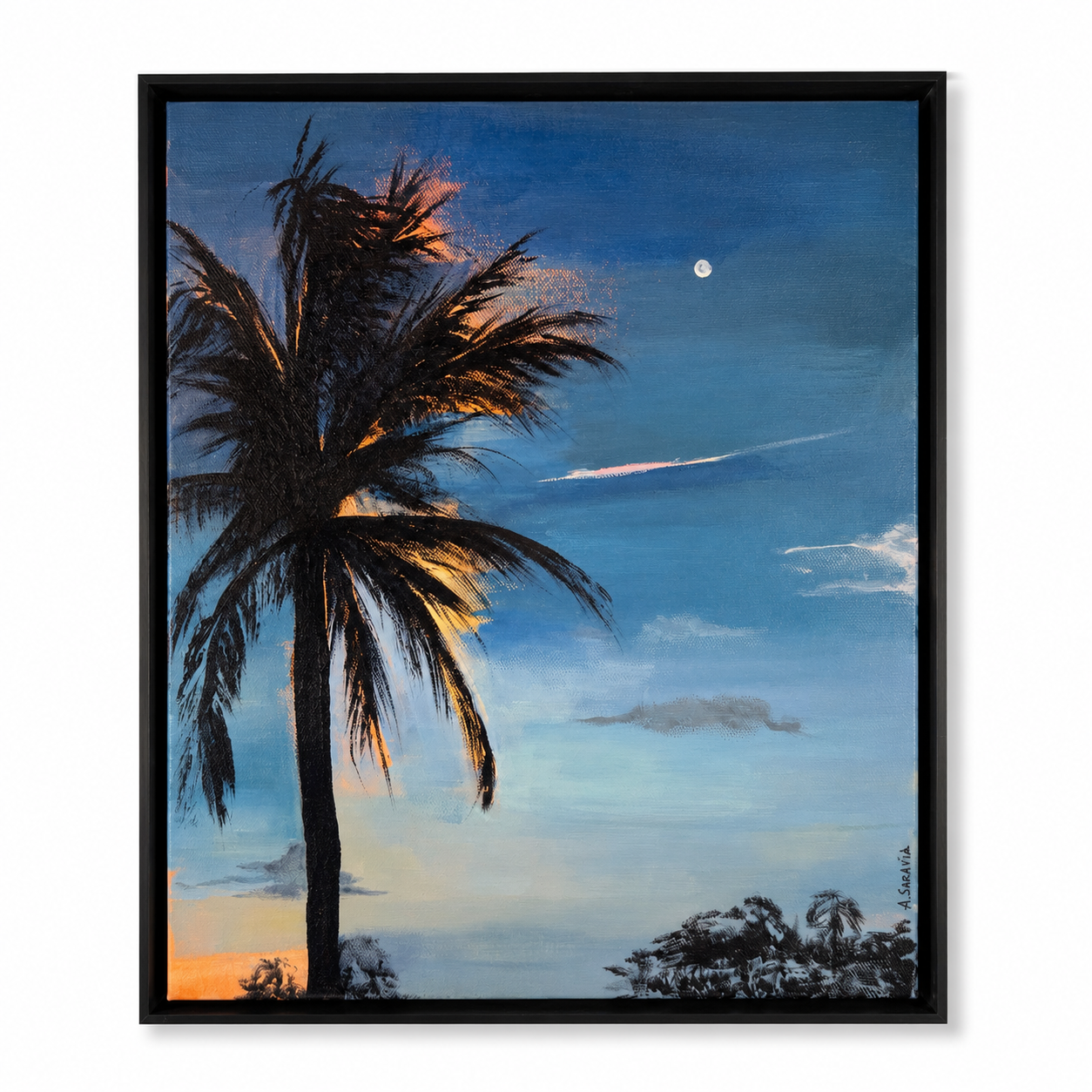 Evening Palm