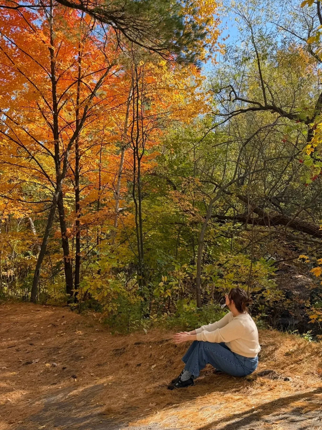 Woman sitting on the ground surrounded by fall-colored trees, enjoying a quiet moment outdoors and connecting with the present.