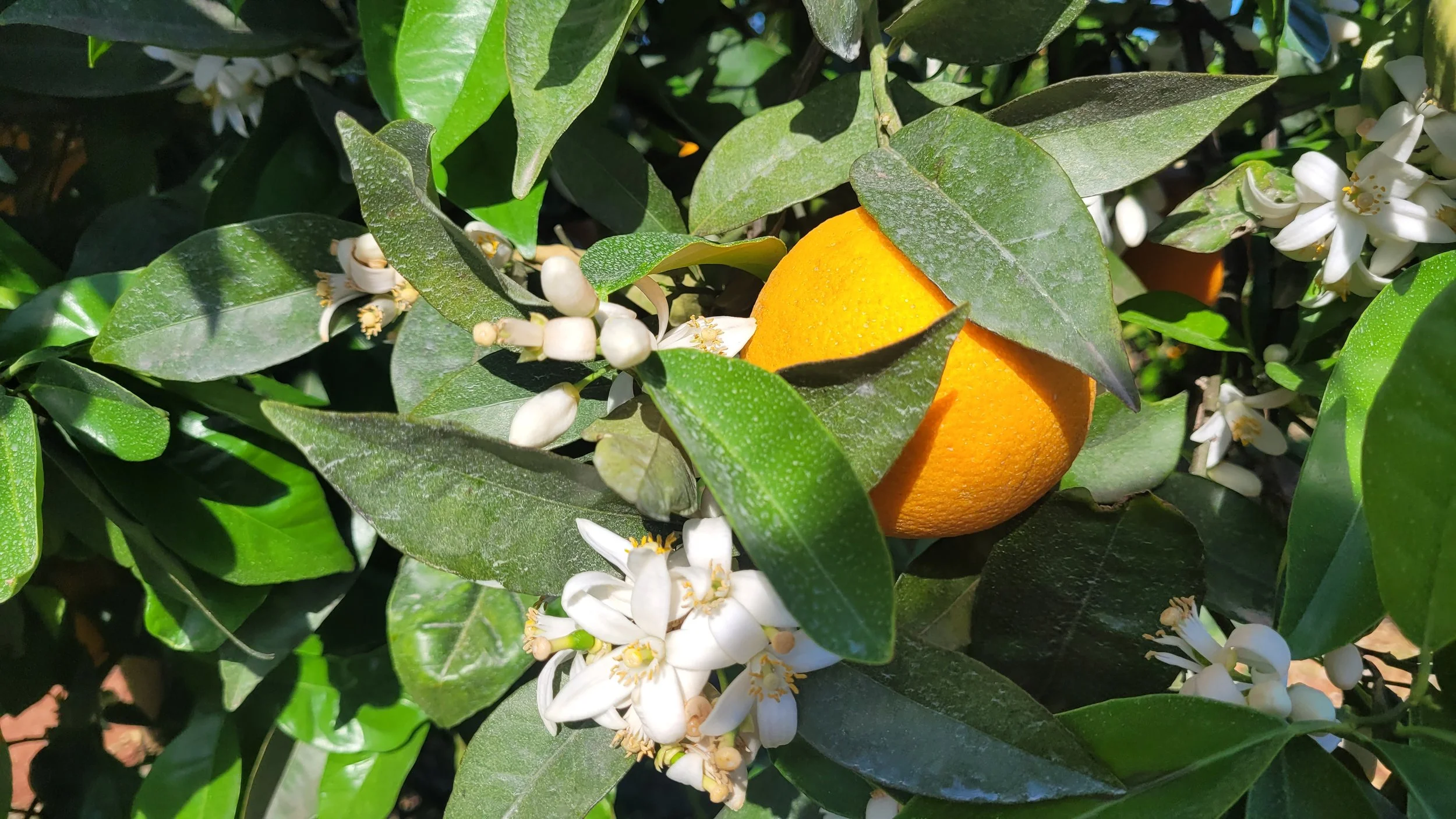 Geurding