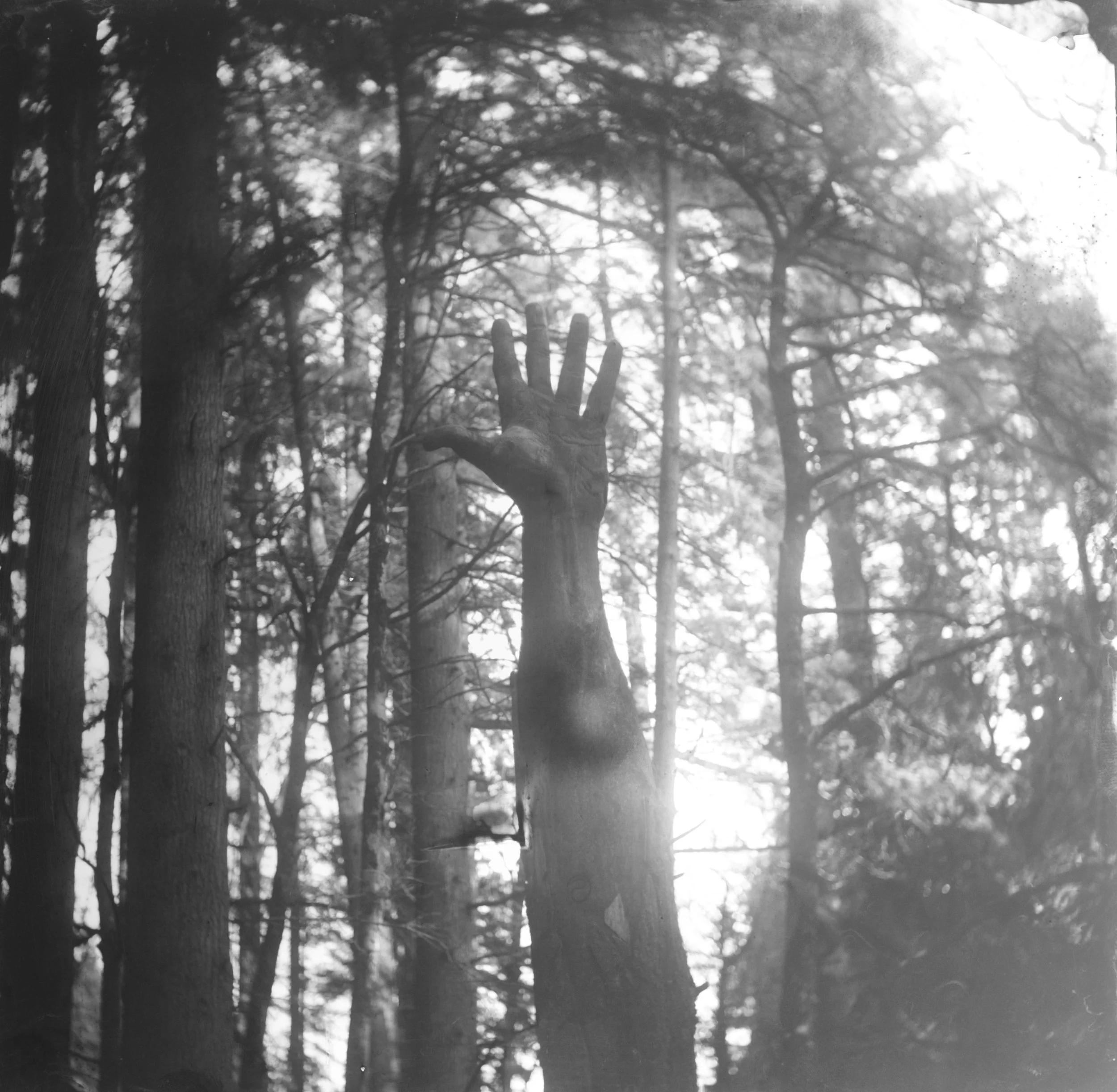 Giant's Hand, Vrynwy, Wales