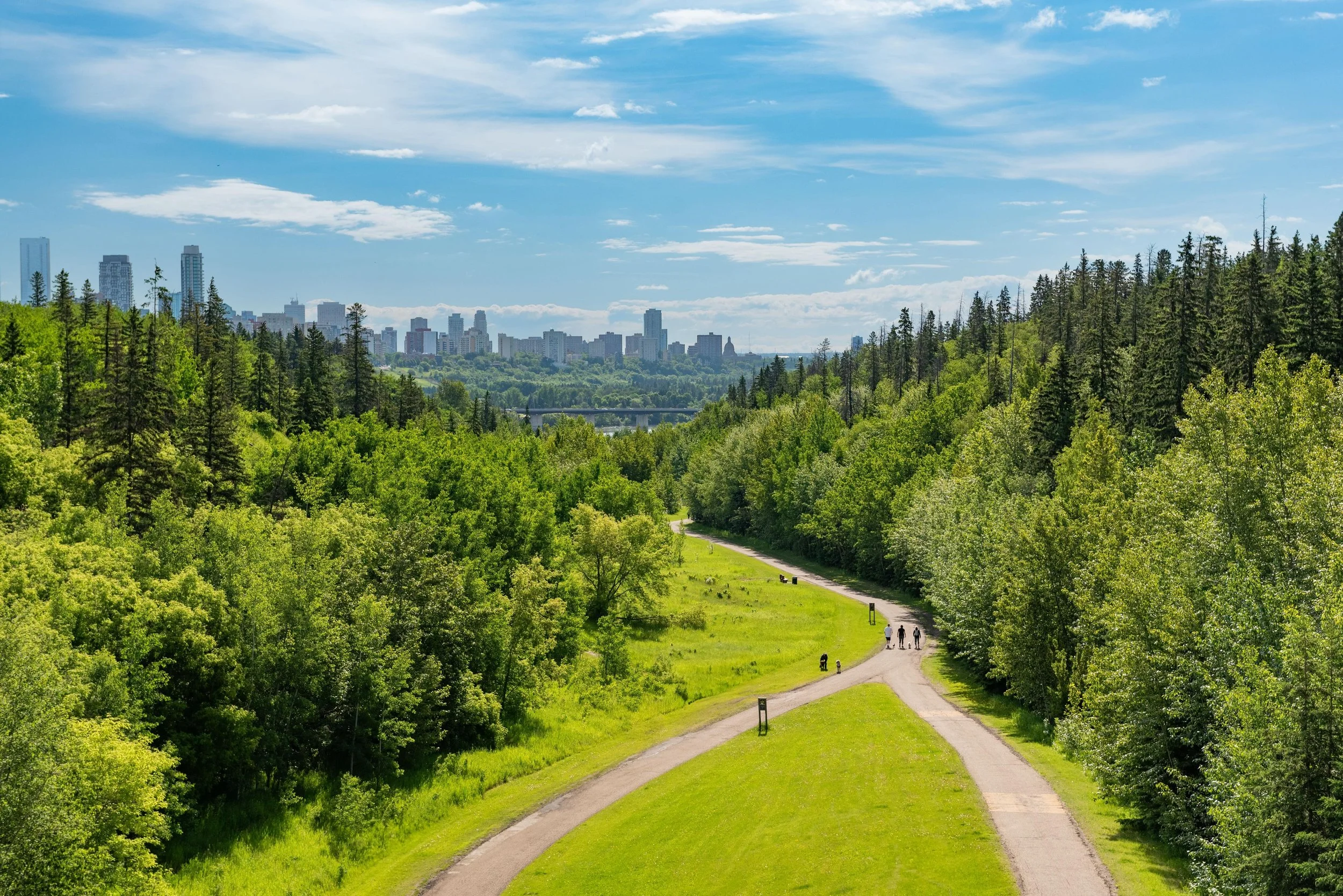 A scenic view of a city skyline with tall buildings in the distance, surrounded by lush green trees and a walking trail with a few people and a dog in a park.