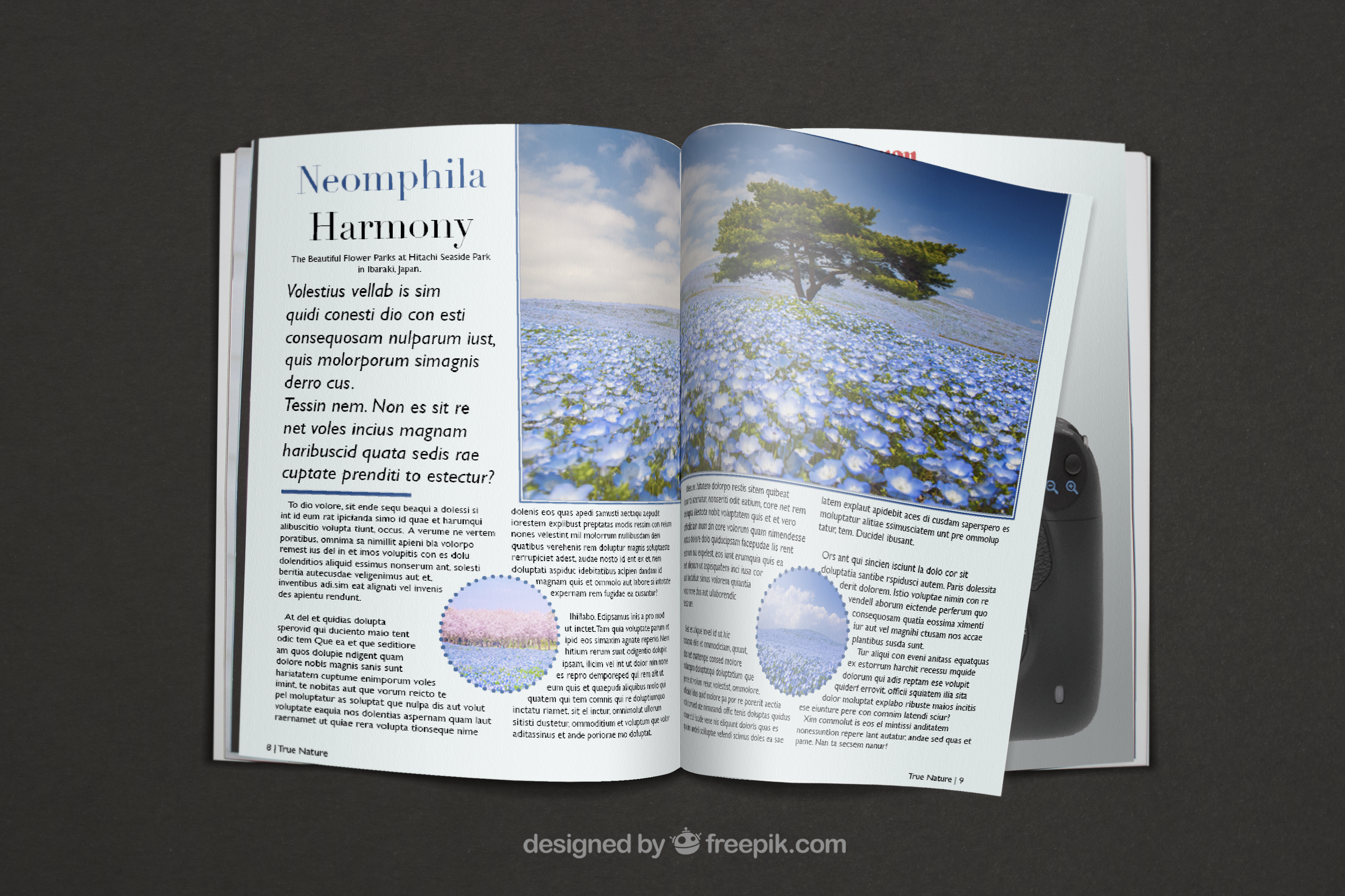 Publication and Layout Designs