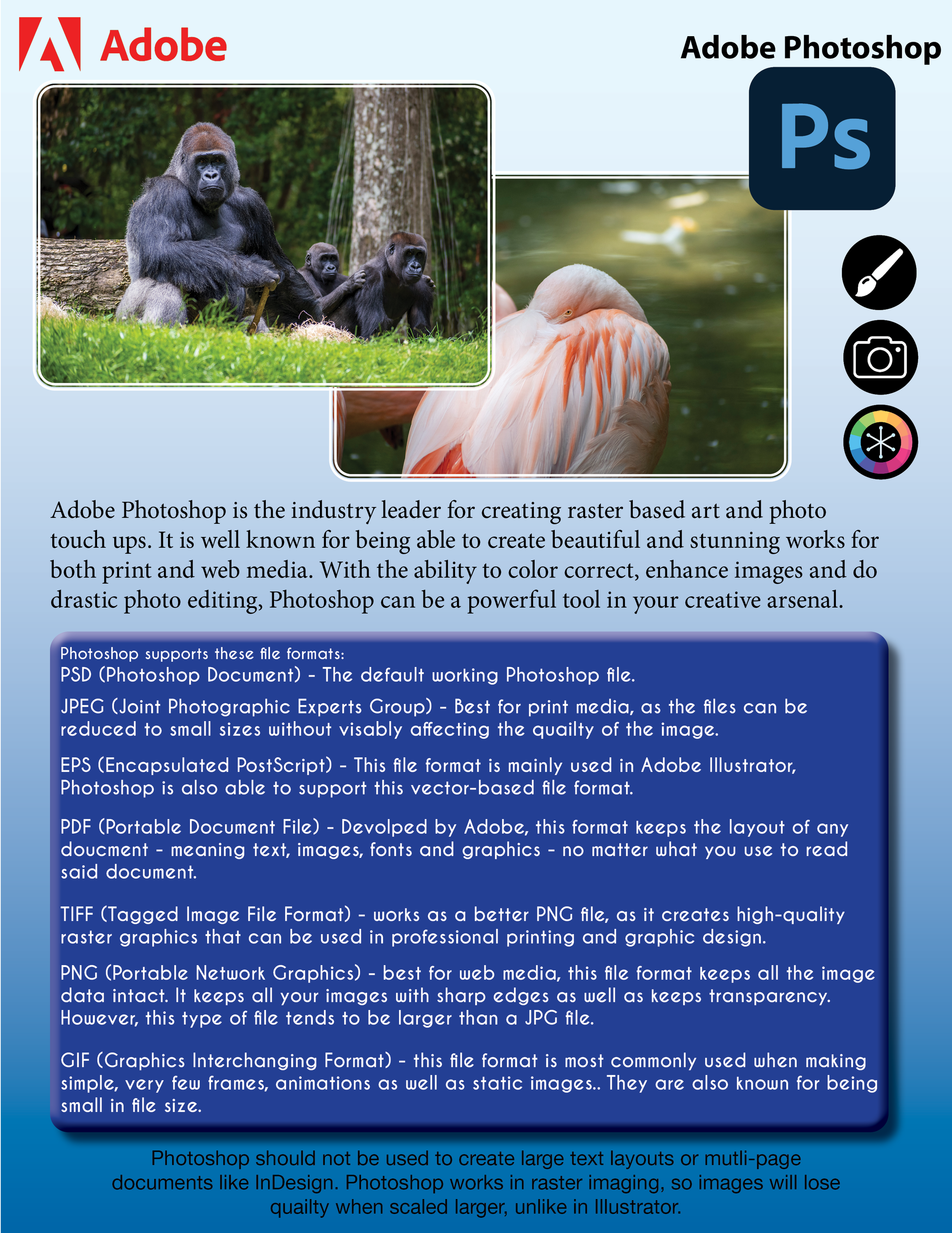 Photoshop infographic 2.png