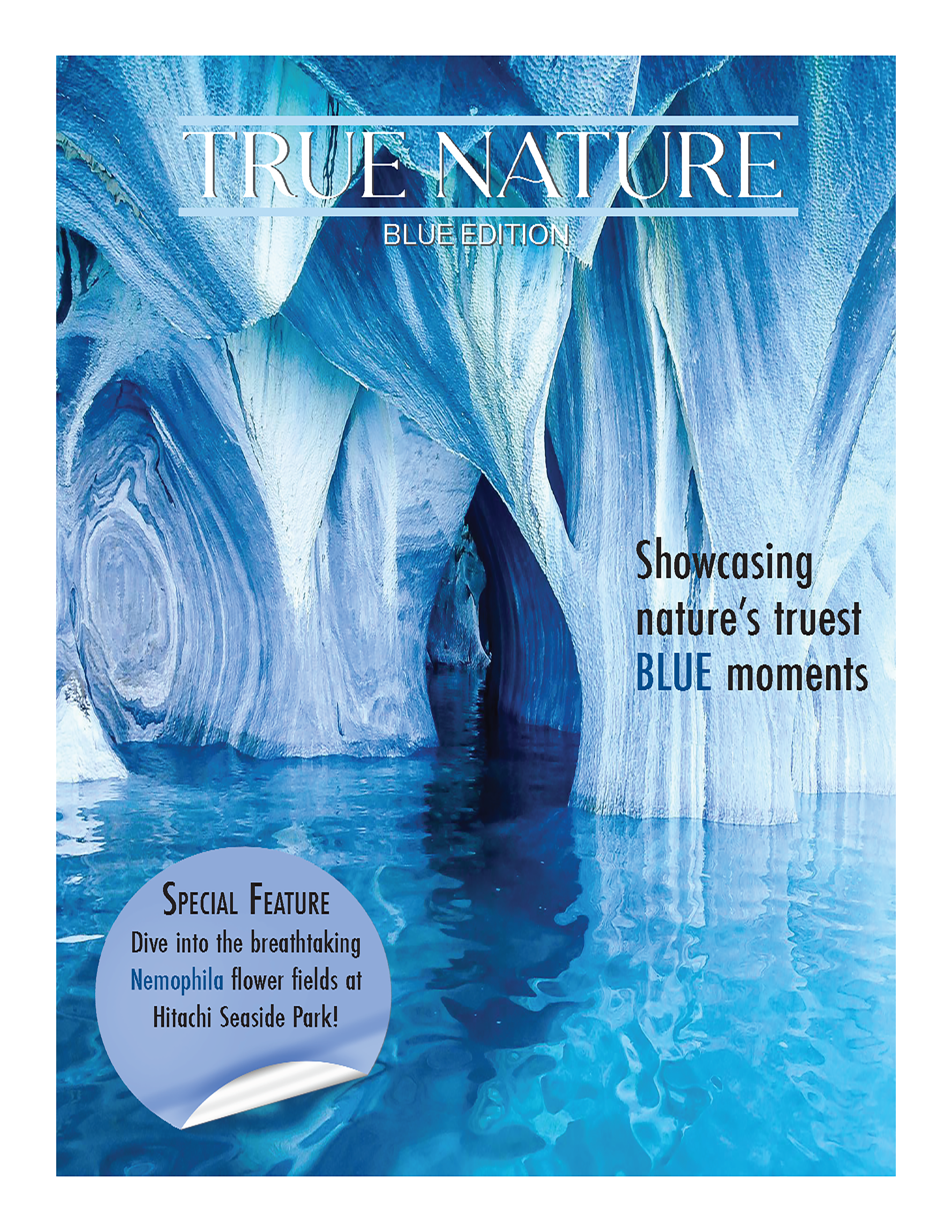 Cover.png