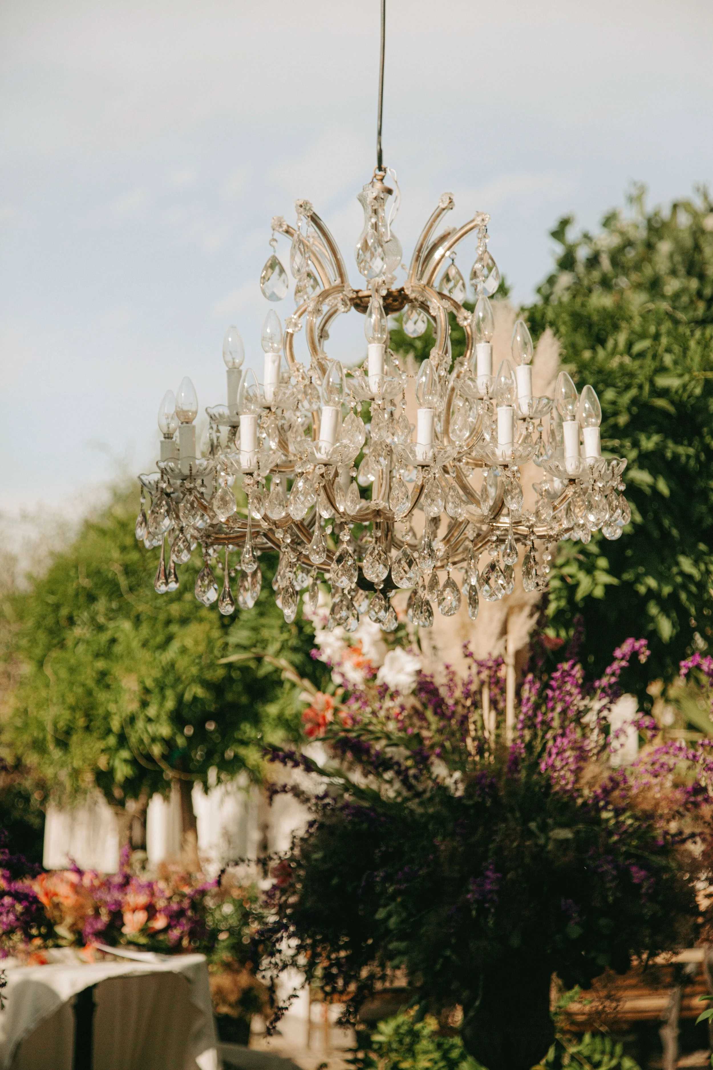 A crystal chandelier hanging outdoors above a garden with various green foliage and flowers.