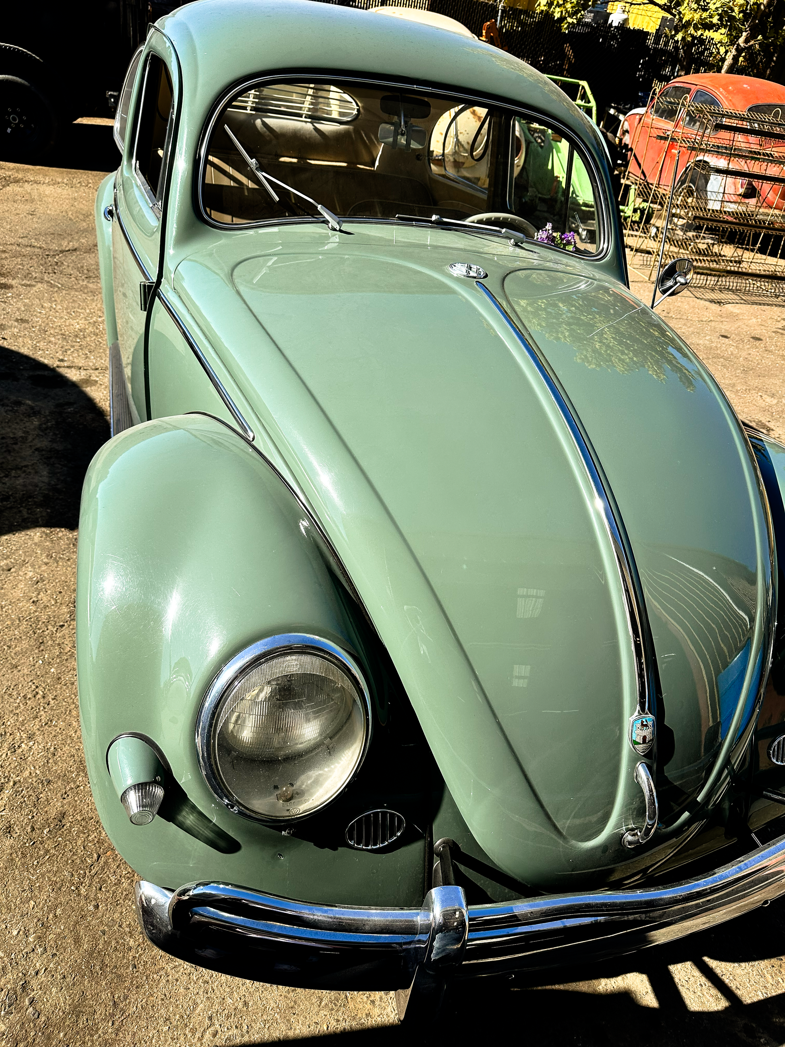 A vintage light green Volkswagen Beetle parked outdoors, with trees and other old cars in the background.
