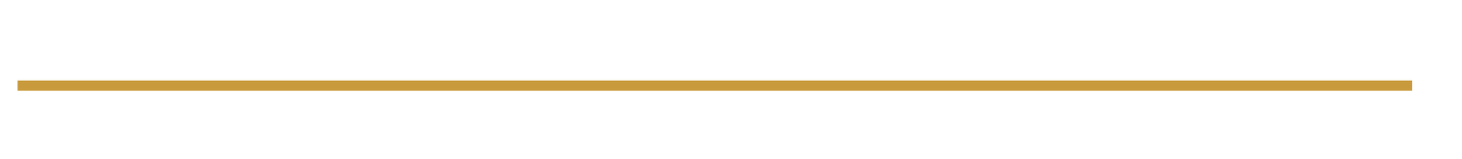 gold accent line