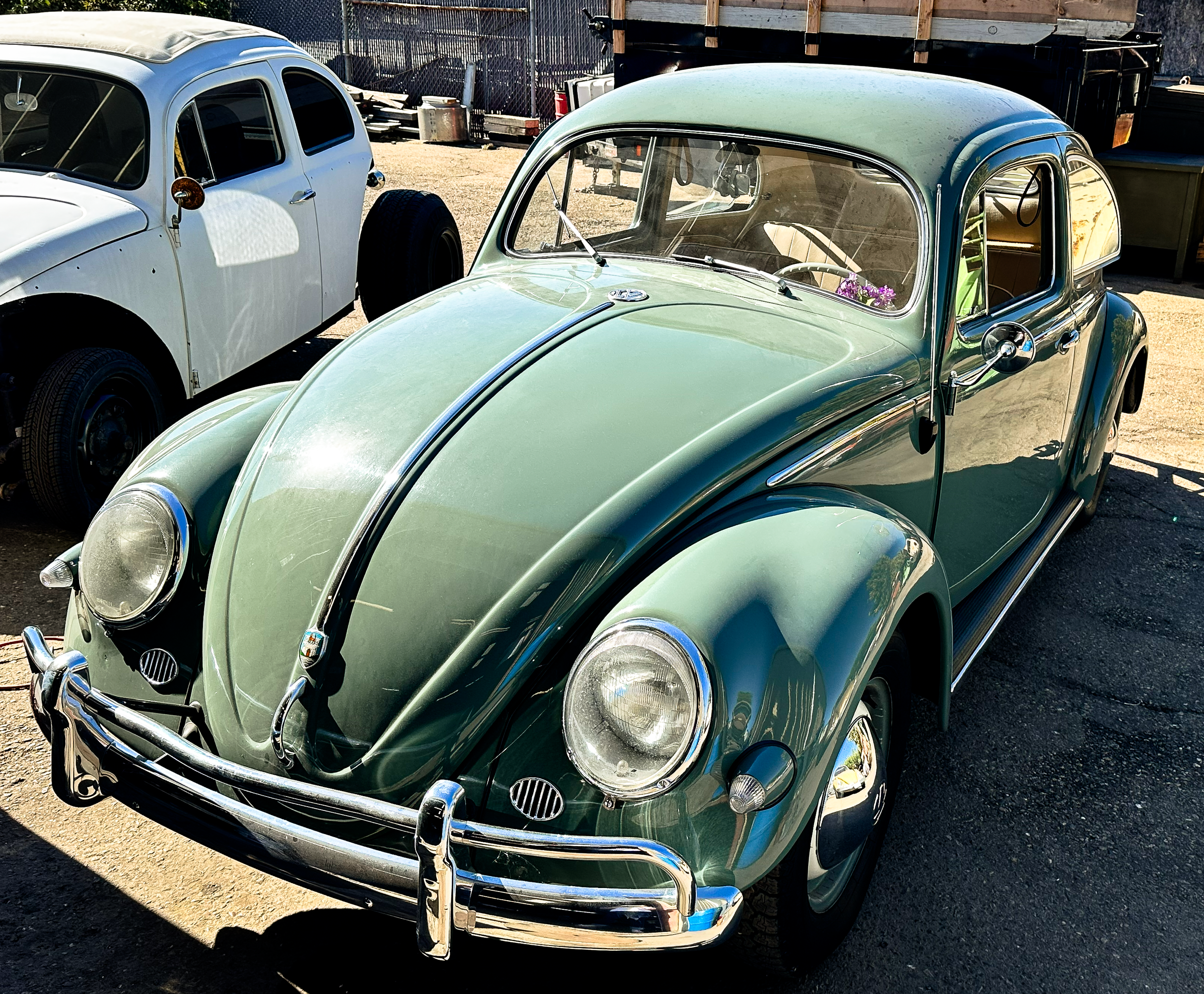 Mint green vintage Volkswagen Beetle with chrome details parked outdoors, with a white vintage car partially visible behind it, fenced area and miscellaneous items in the background.