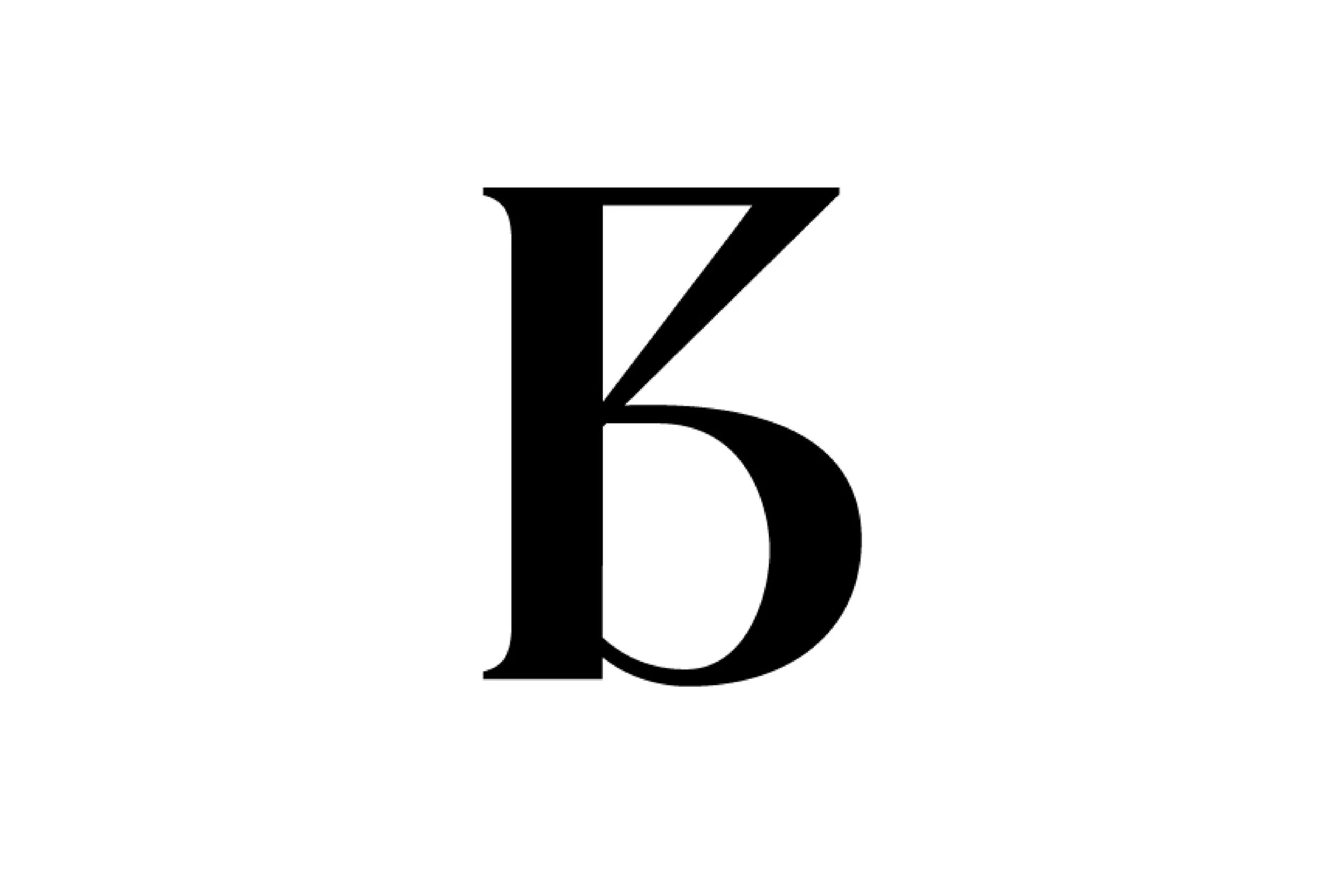 A black and white logo combining the letters 'B' and 'Z' in a stylized design.