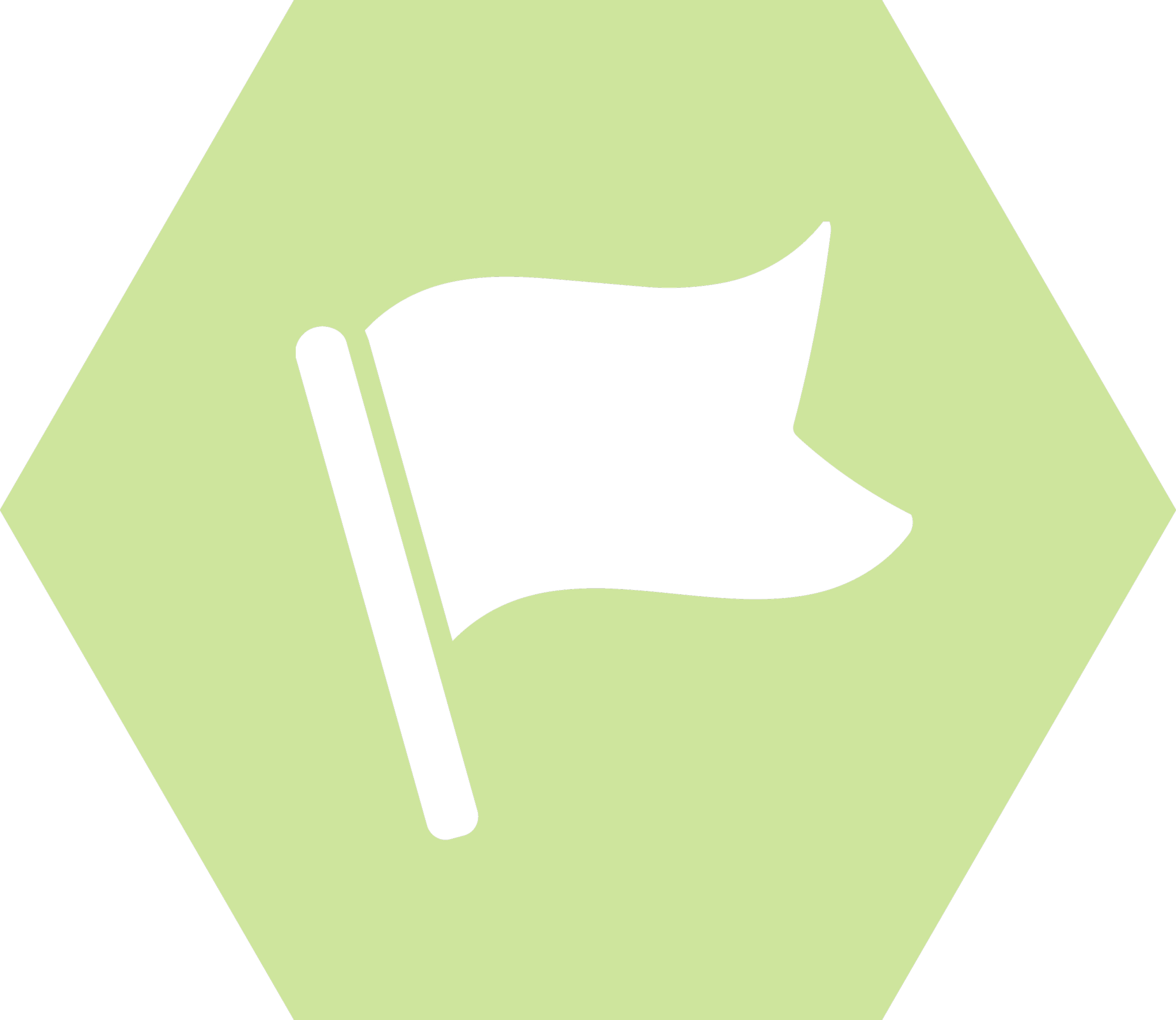 Executive Leadership Roles placed by Fairfield Partners Executive Search.
A waving flag icon in white on a light green hexagon background