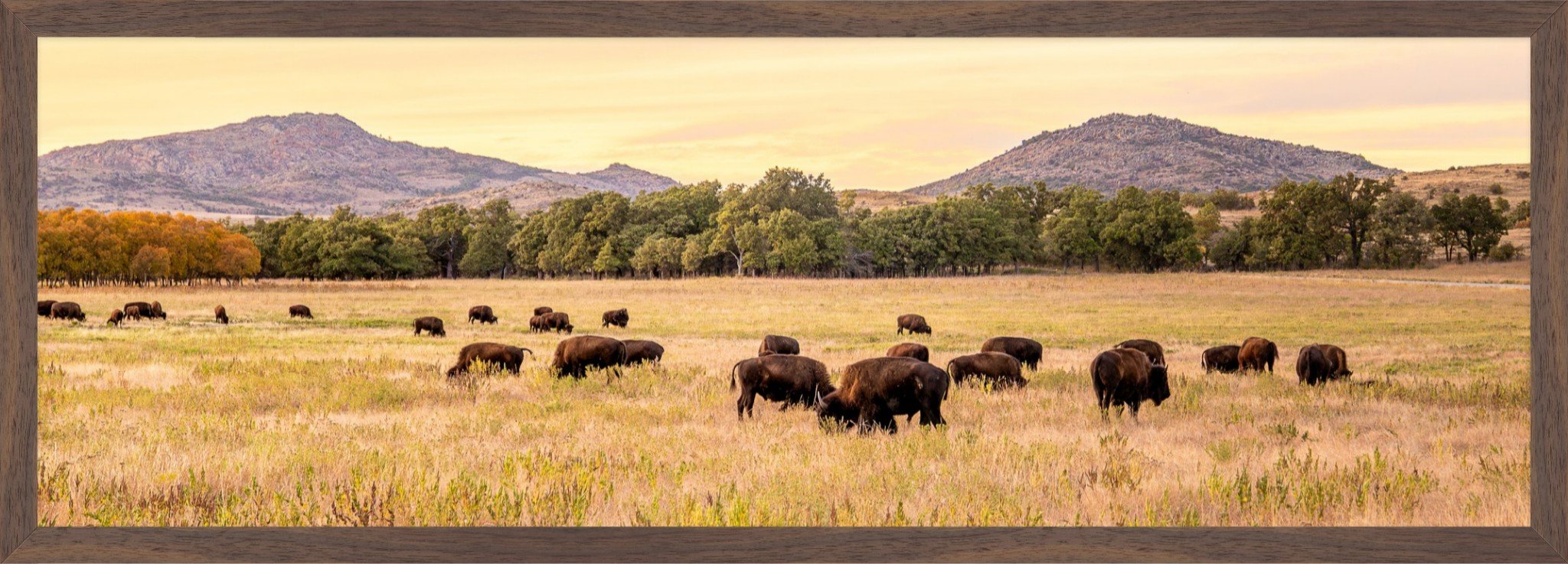 Spirit of the West Metal 10x30.jpeg