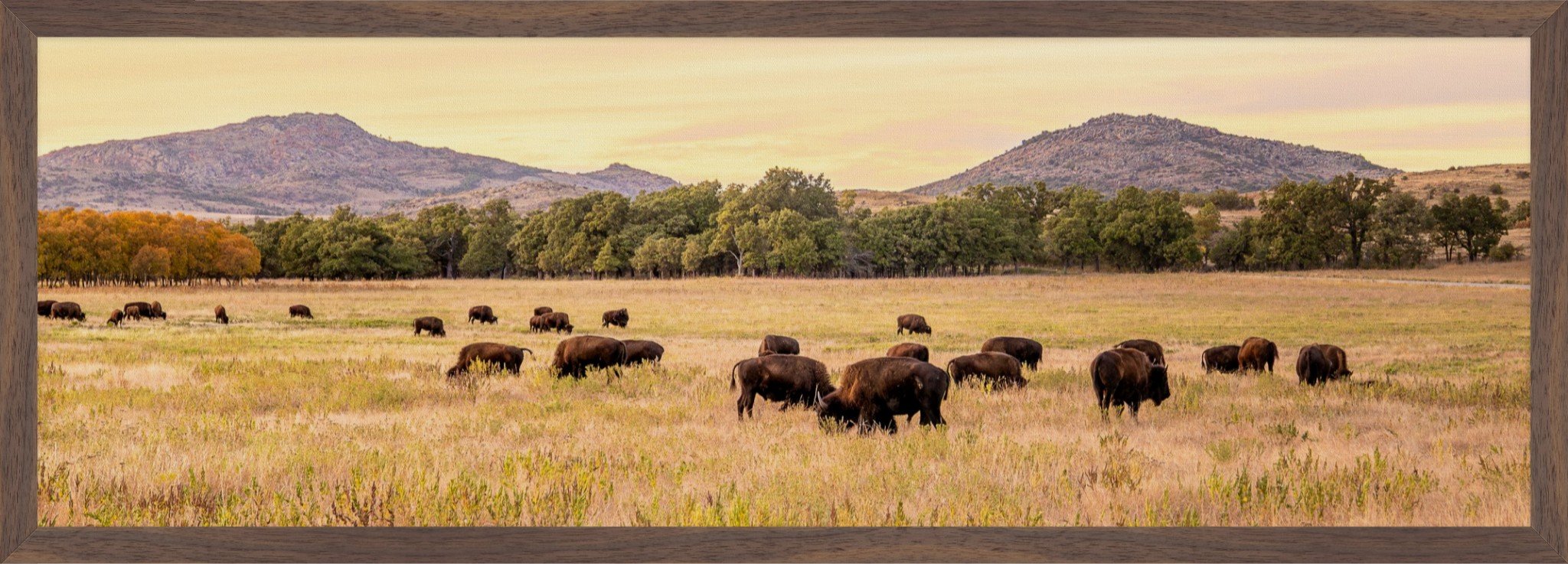 Spirit of the West Canvas 10x30.jpeg