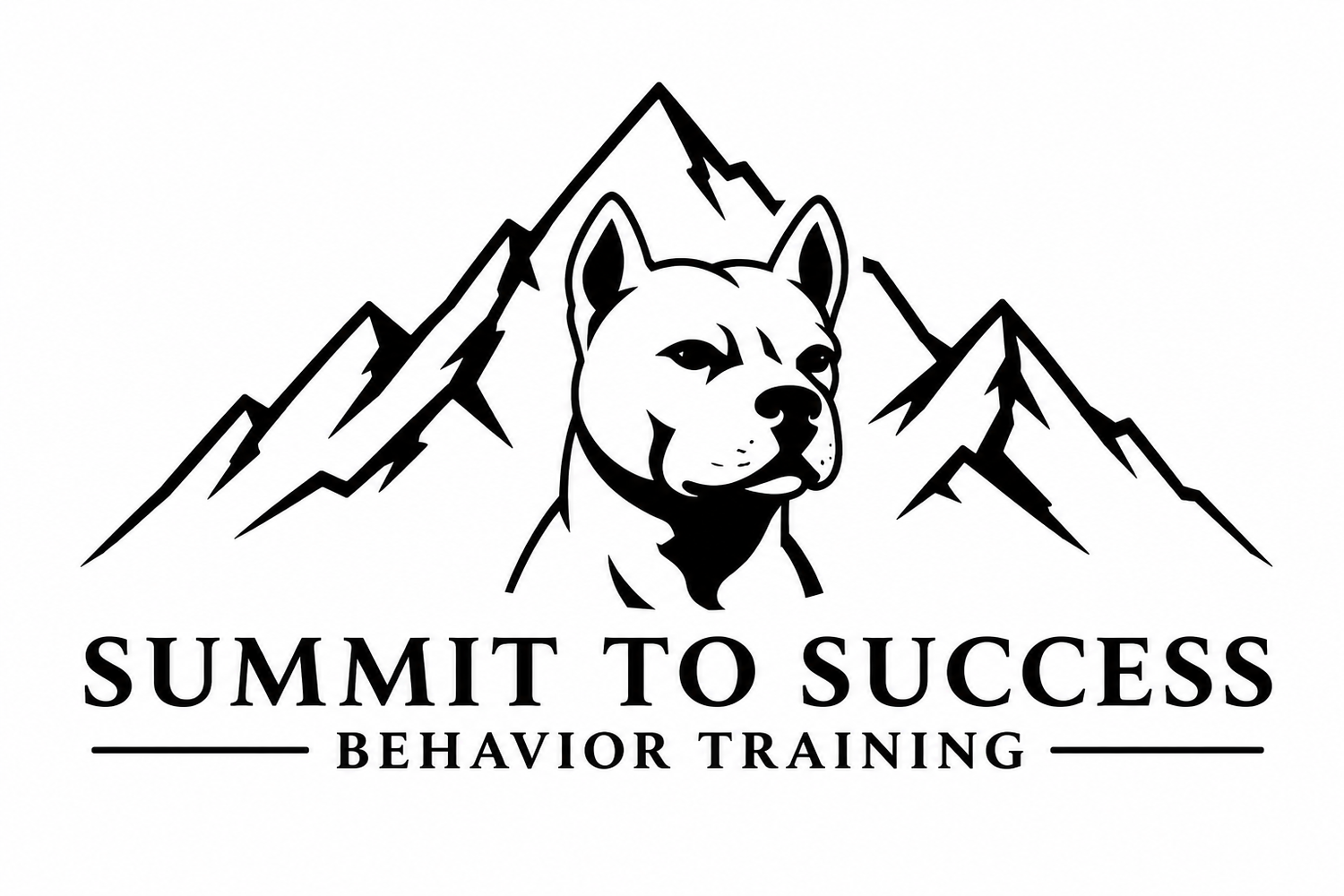 Summit to Success Behavior Training