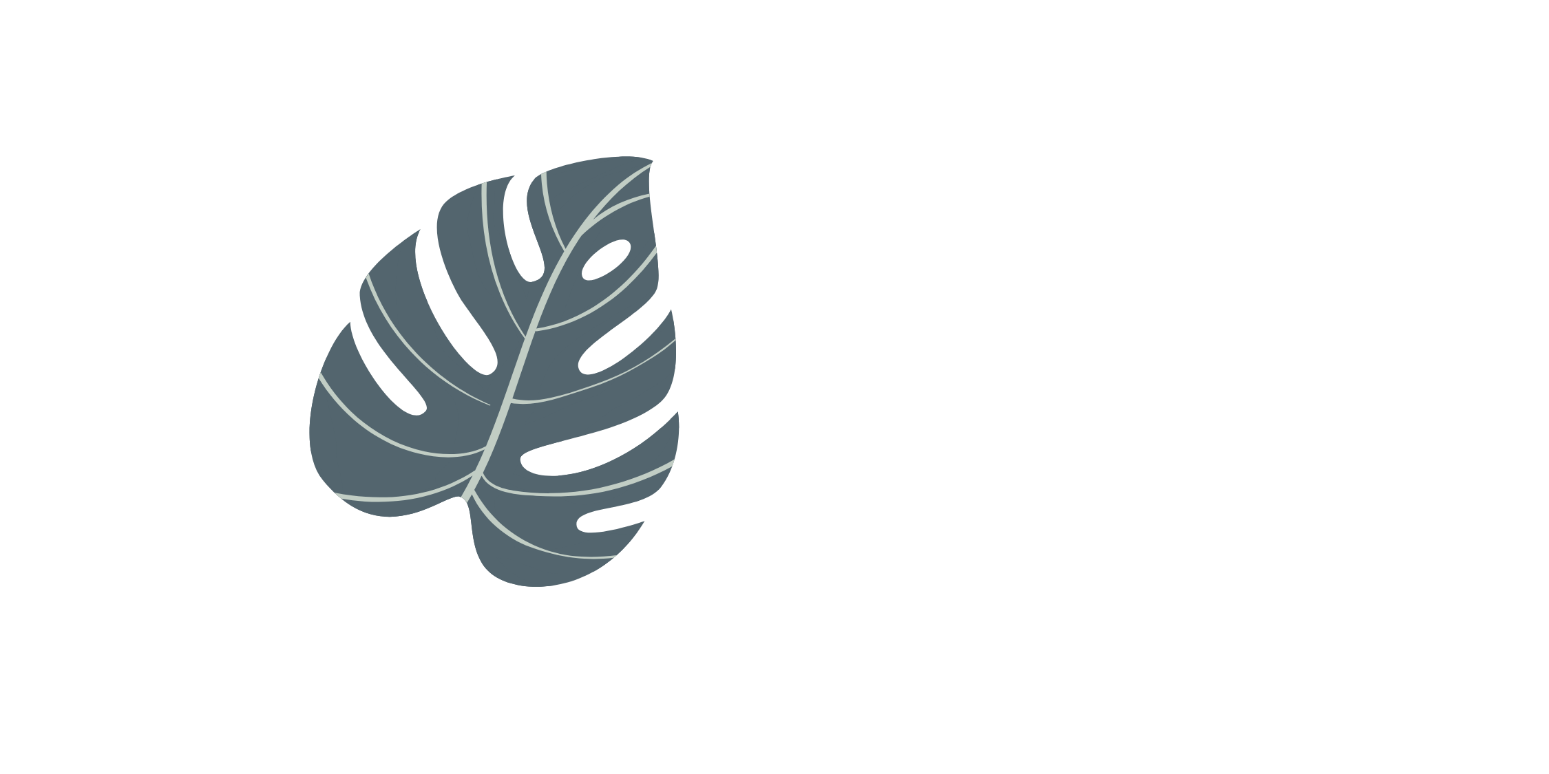 A black background with a stylized gray tropical monstera leaf.