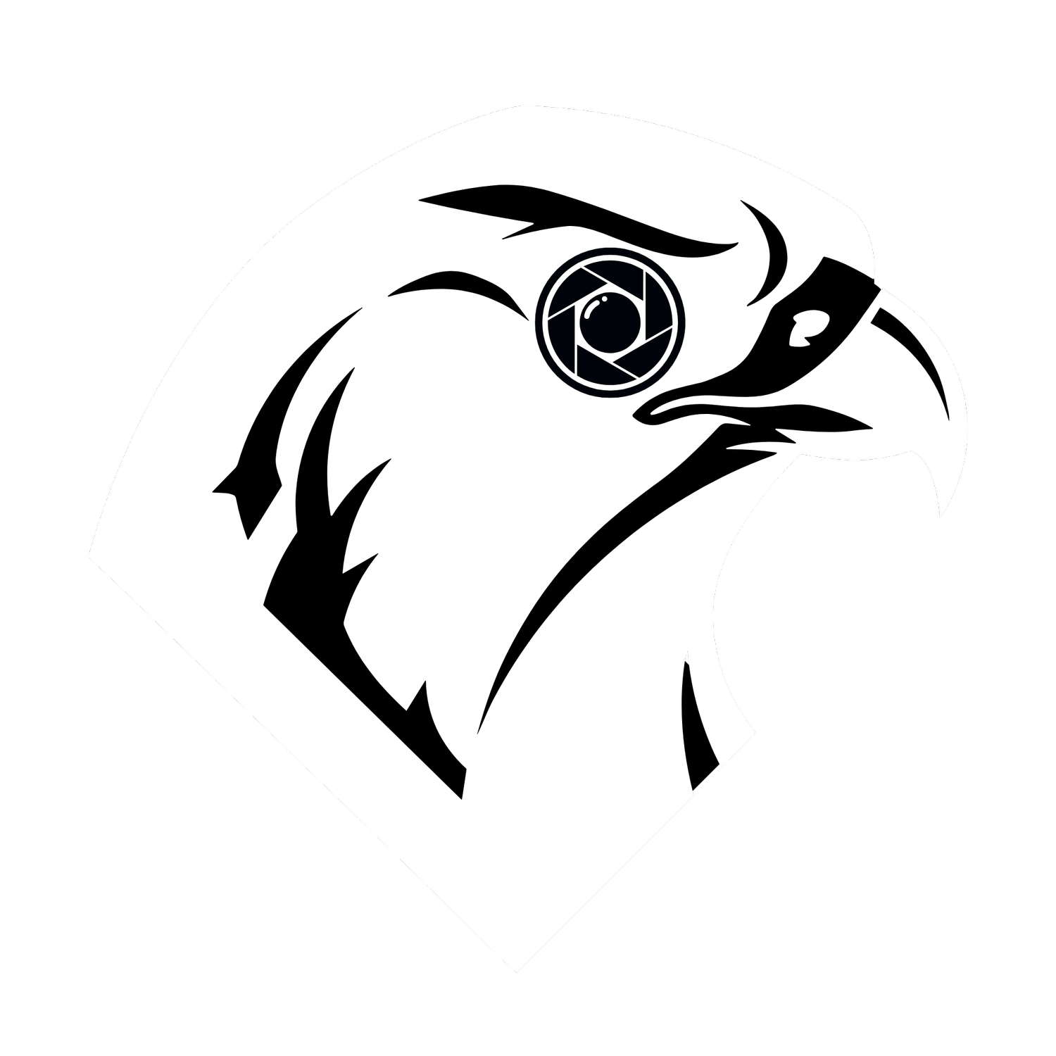 FALCON REAL ESTATE MEDIA