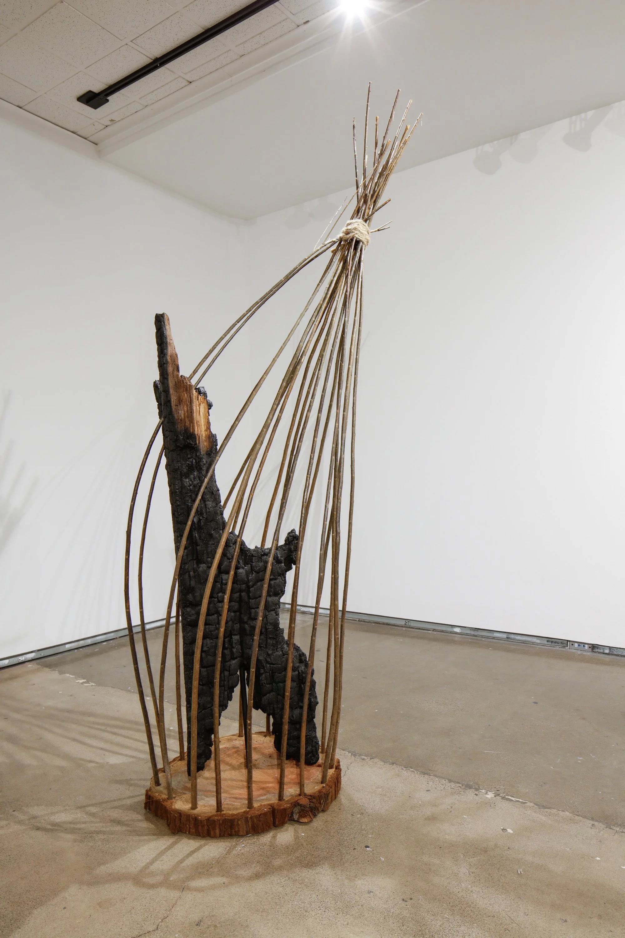Embrace #1, 2023, burned redwood, willow, hemp, 84"x24'D