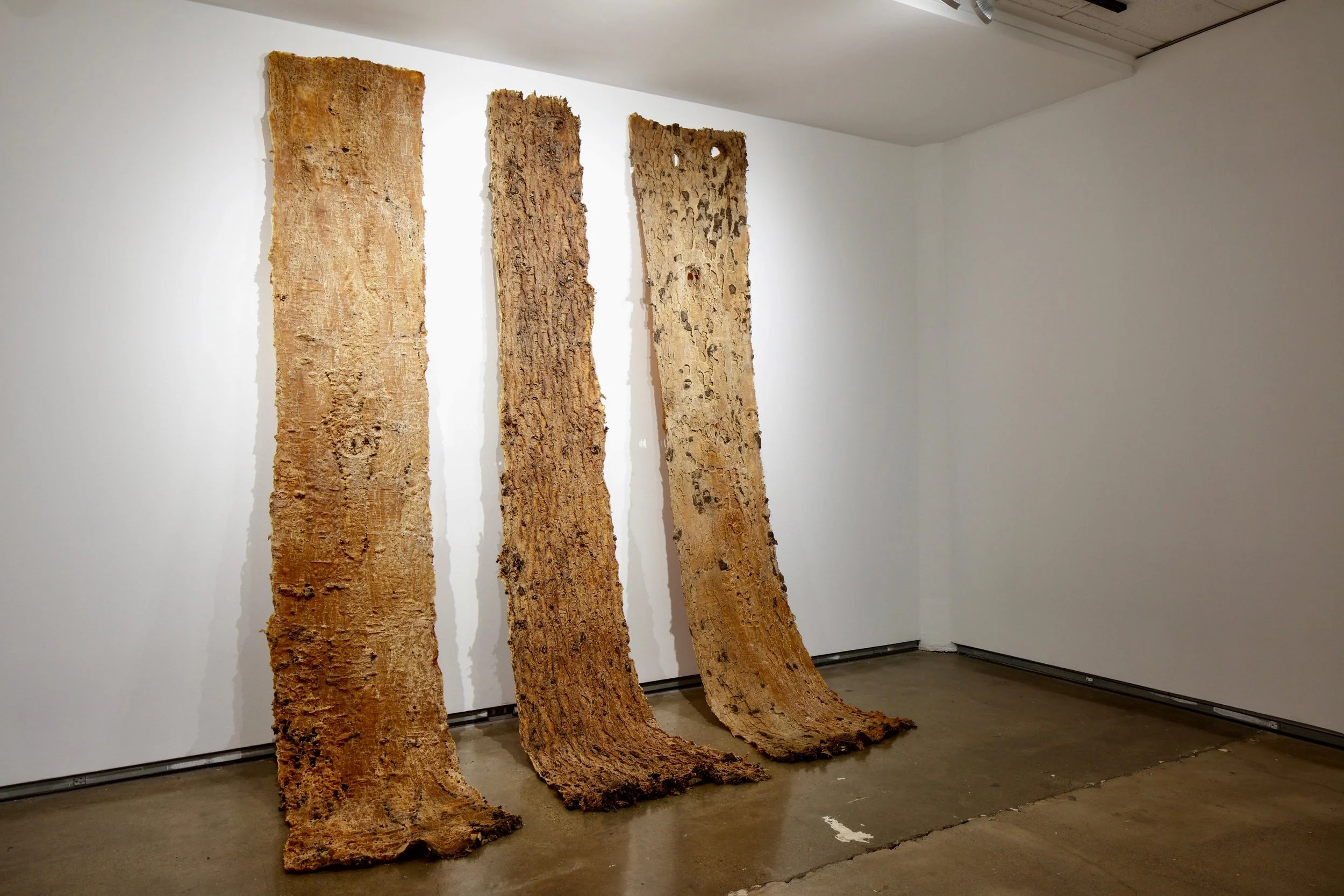 Skins, 2023, 120"x82"