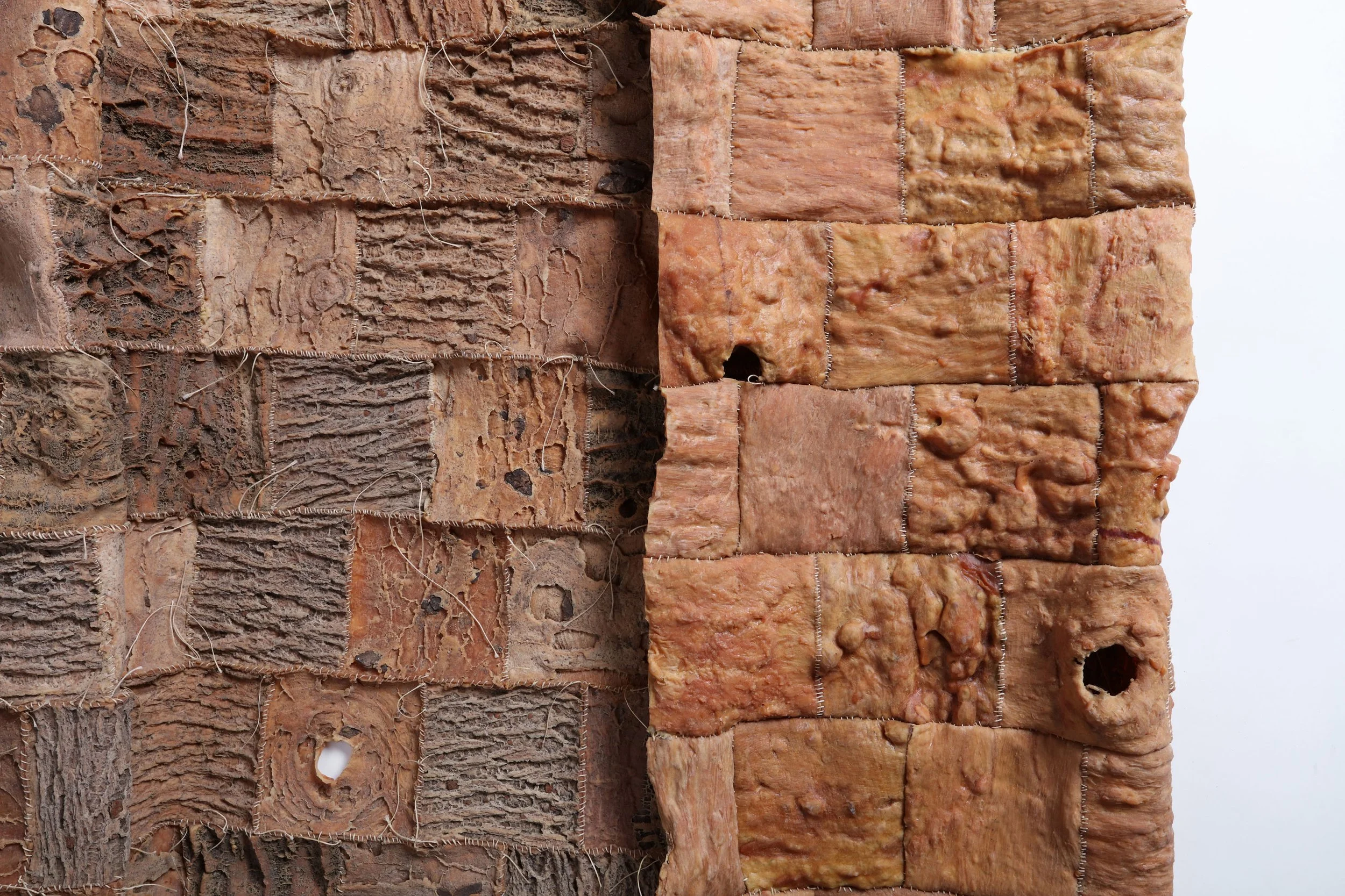 Encoded Messages, 2025, detail