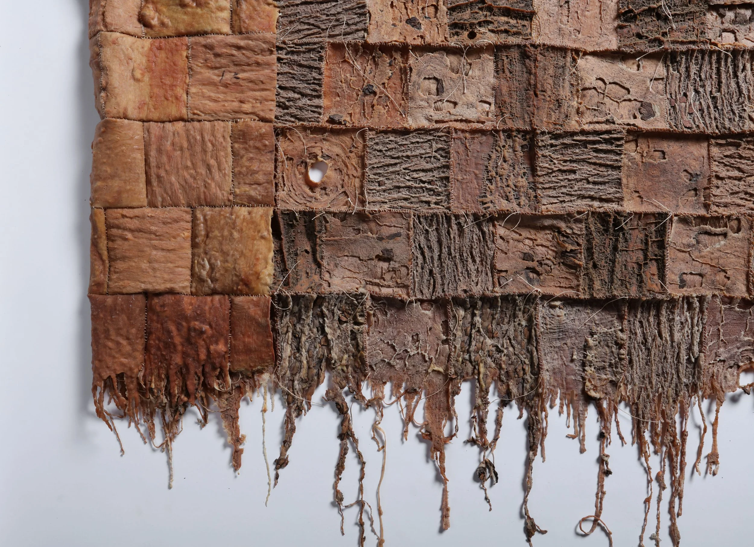 Encoded Messages, 2025, detail