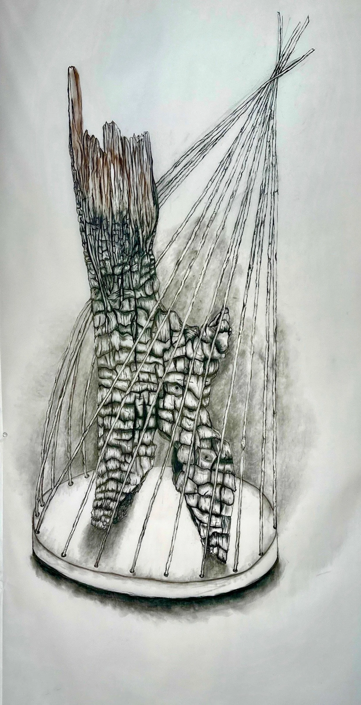 Drawing of a human torso with skeleton details, displayed inside a circular cage with thin vertical rods and a conical top.
