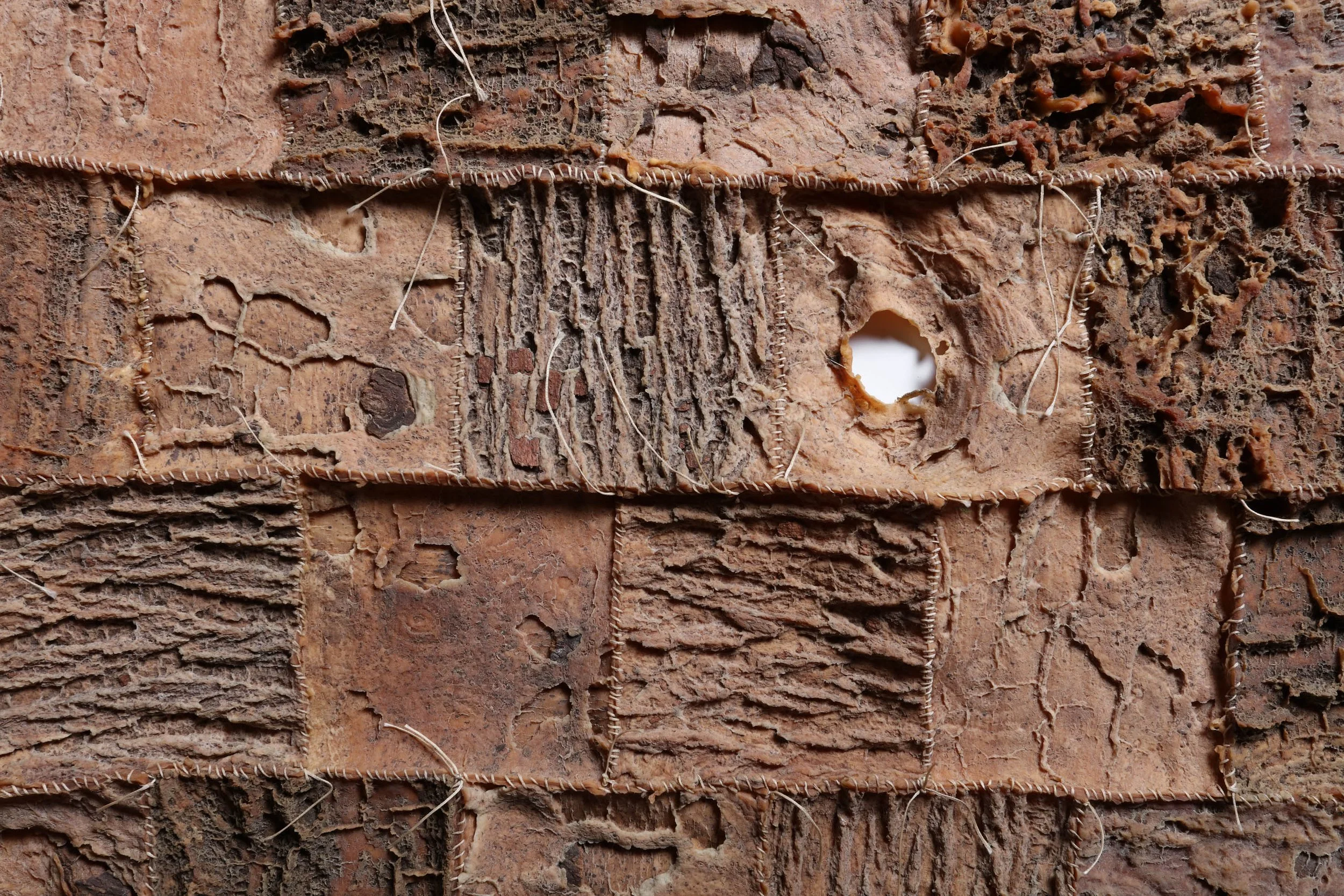 Encoded Messages, 2025, detail