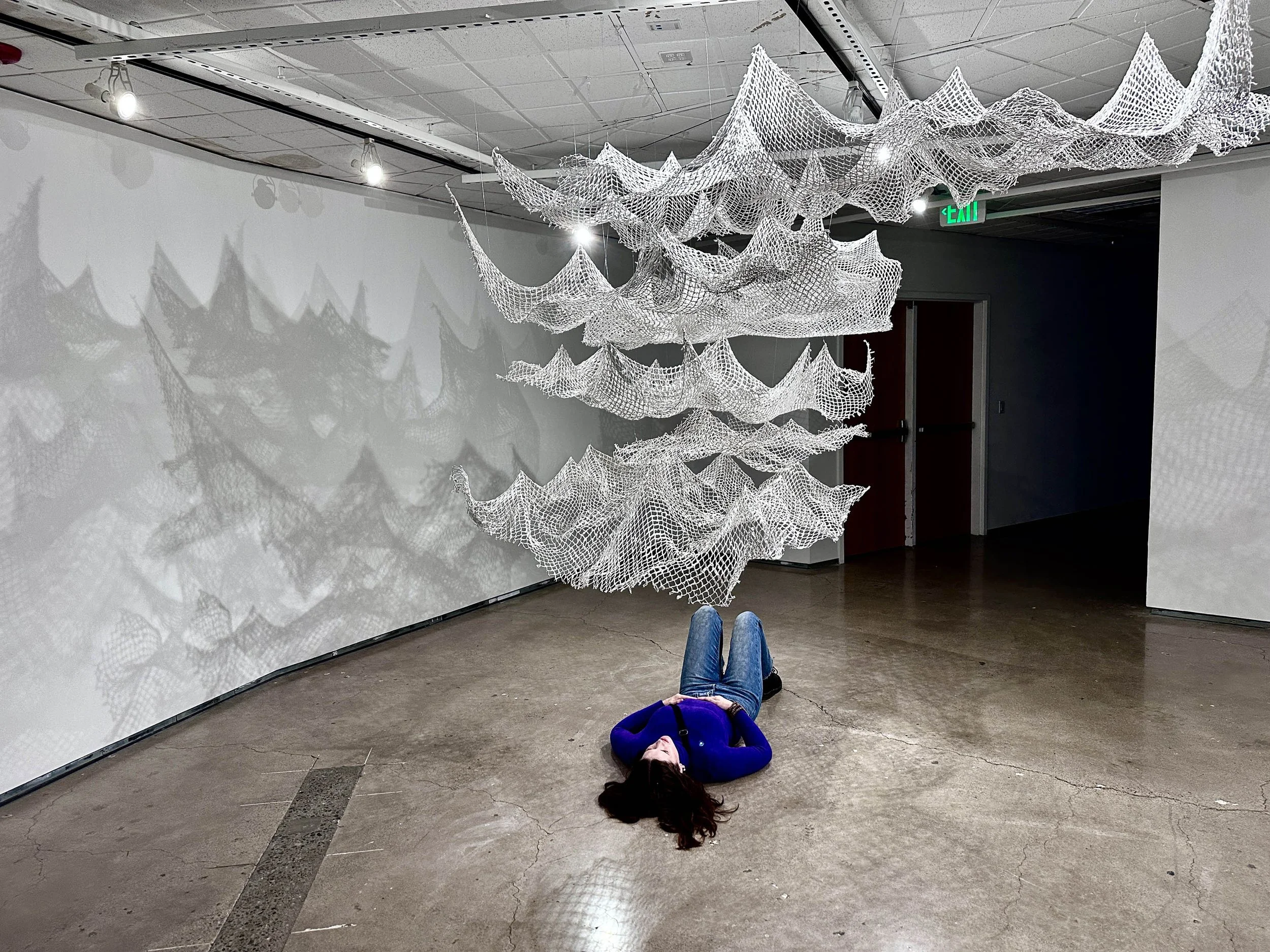 And the Waters Will Come,  reclaimed fishing nets and gypsum, dimensions variable