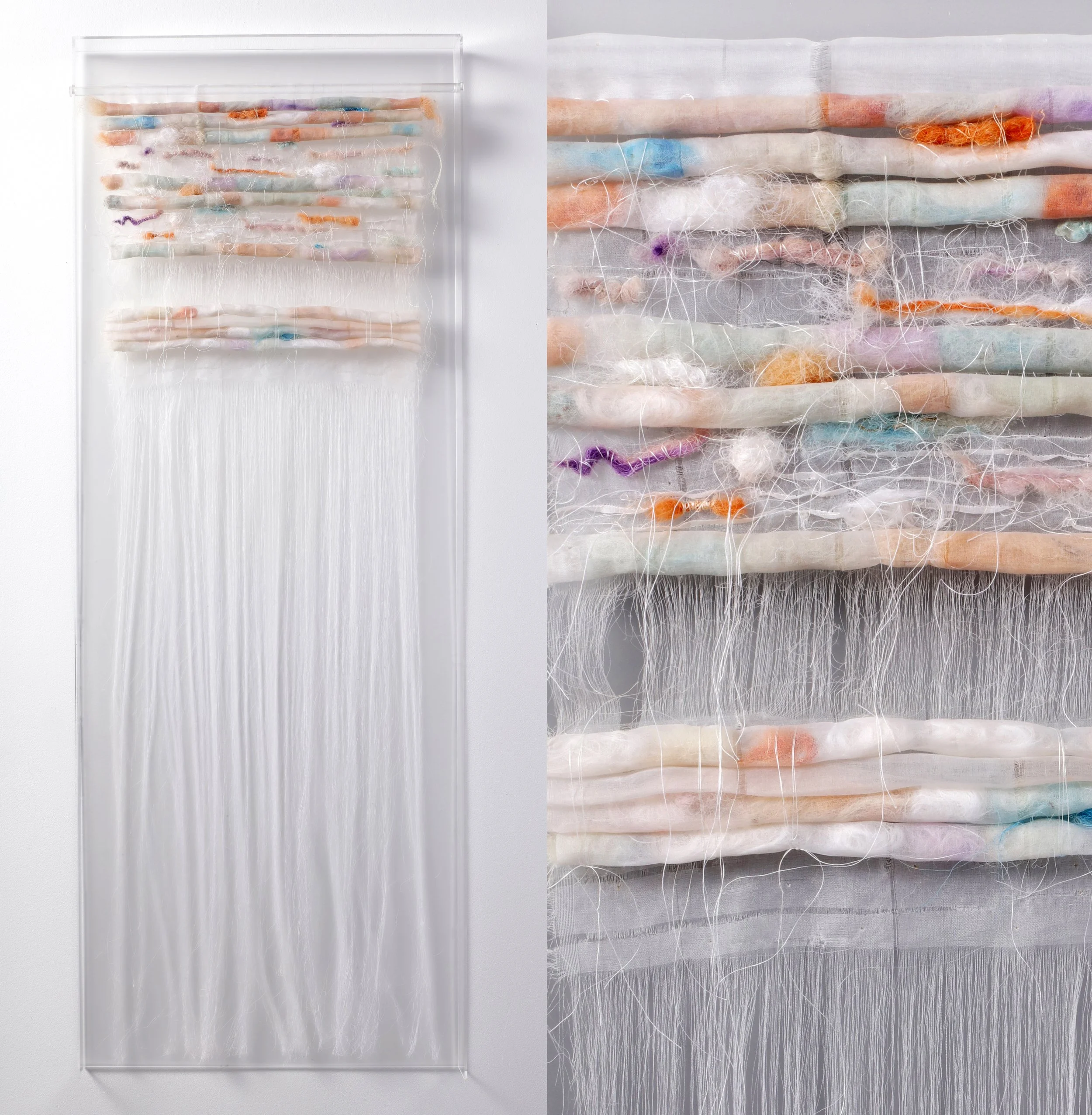 Fragile Order, 2026, sheep wool, silk, in a plexi-glass frame