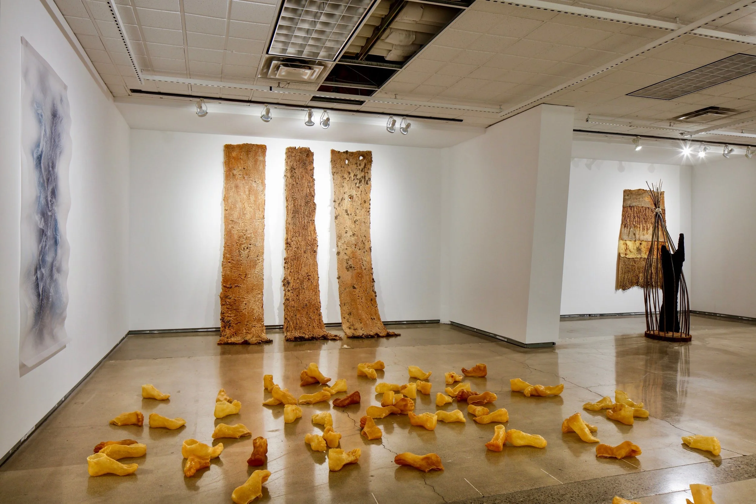 Elegies of Loss, Resilience, and Regeneration, 2023
charred redwood, willow, jute, wax, natural latex, fishing net, gypsum, soil, sound, and video