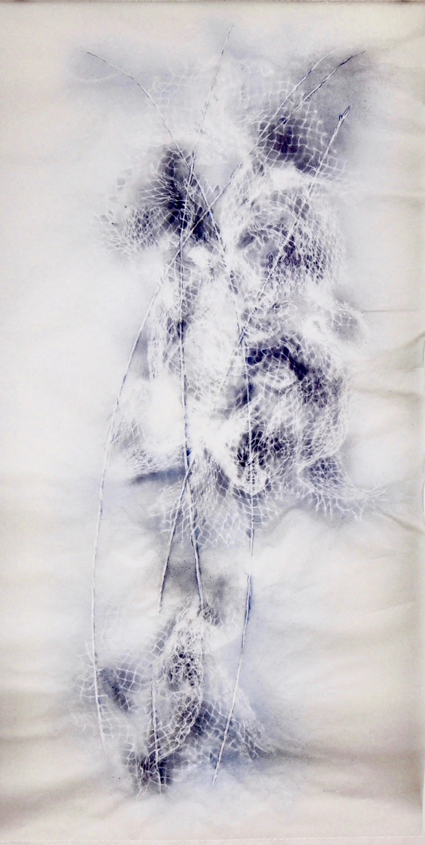 A delicate, dried leaf with intricate skeletal structure, showing veins and a lace-like appearance, set against a soft, neutral background.