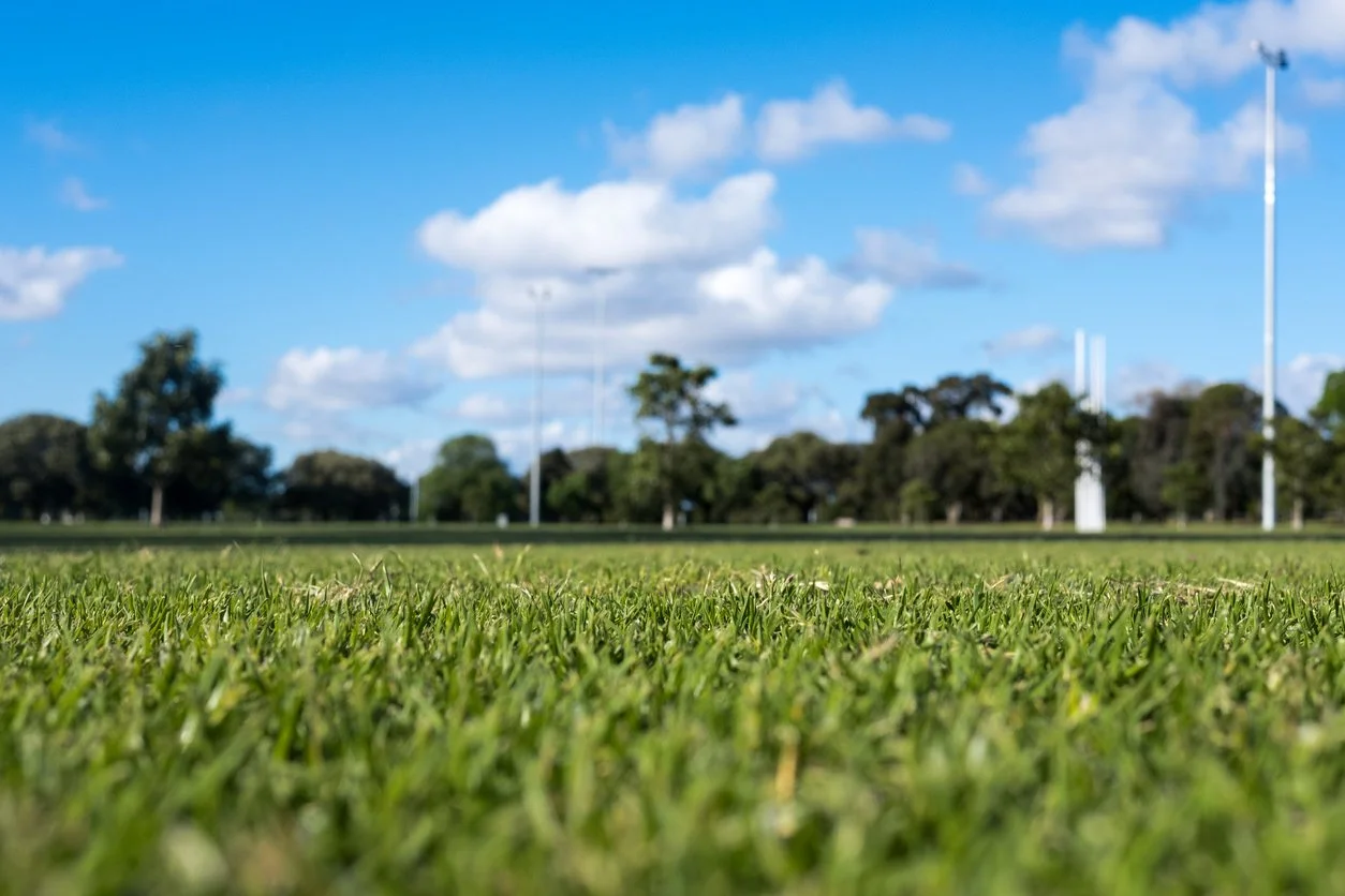 Lush well maintained grass at a public sports field