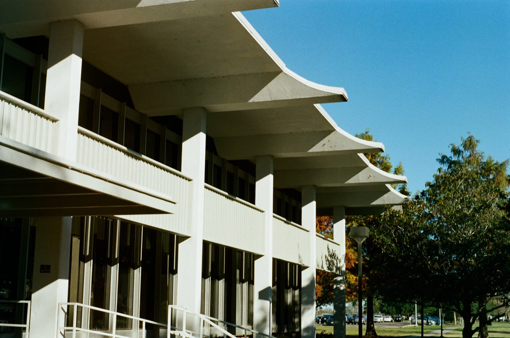 49580461.jpg