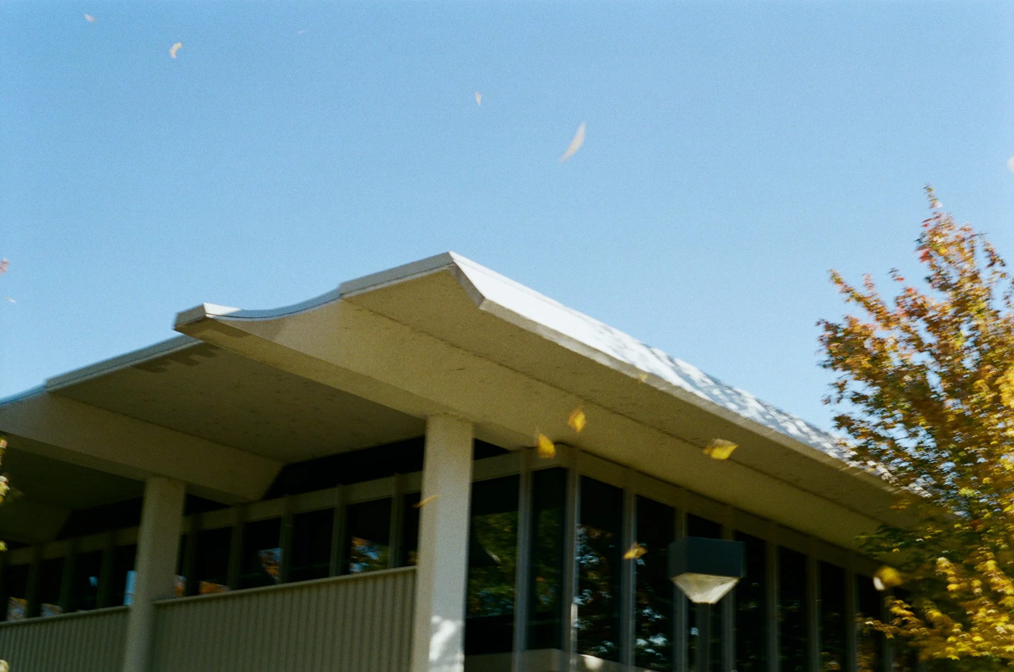 49580444.jpg