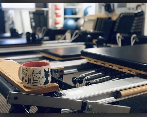	
Pilates Powerhouse And Rehab Center Studio In St Petersburg, Florida - Reformer Pilates