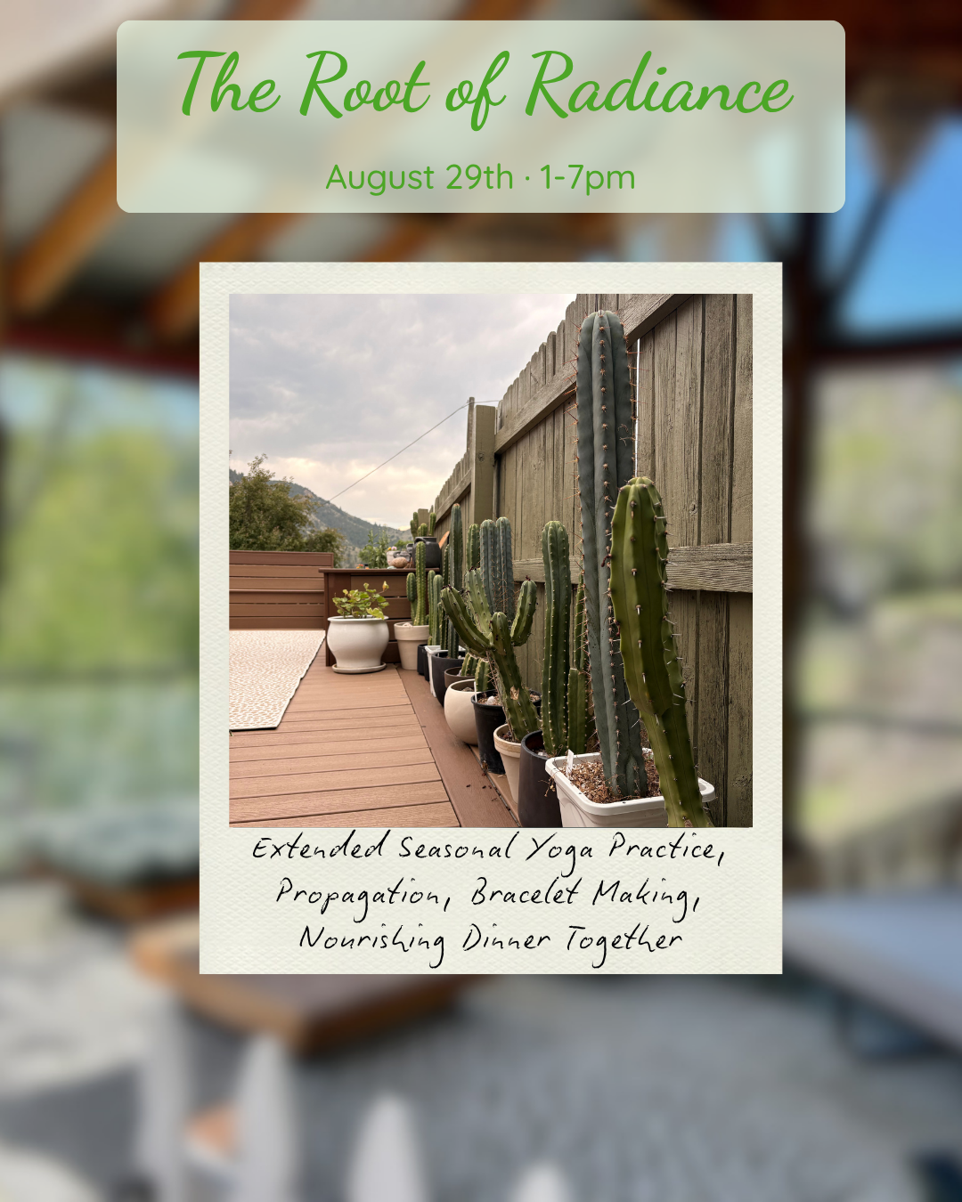 Root of Radiance - August 29th from 1-7pm. Extended seasonal yoga practice, propogation, bracelet making, nourishing dinner togheter. Image of a catus garden.