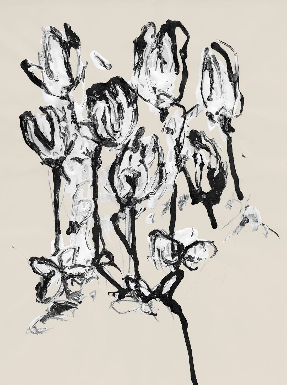 Untitled, 2003. Graphite and acrylic on paper. 12” x 18"
