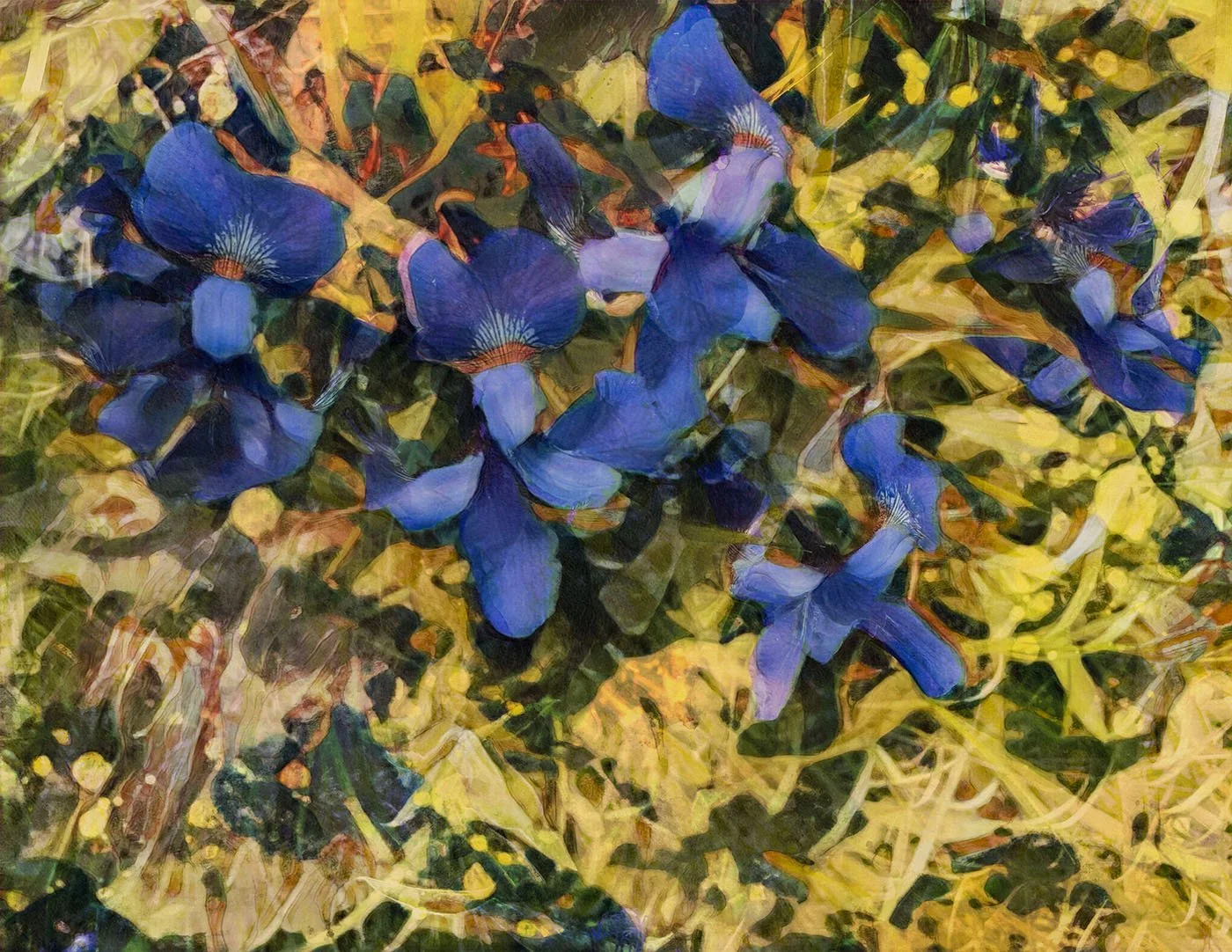 A digital painting of blue flowers, likely irises, against a yellow and green background with scattered leaves and grass.