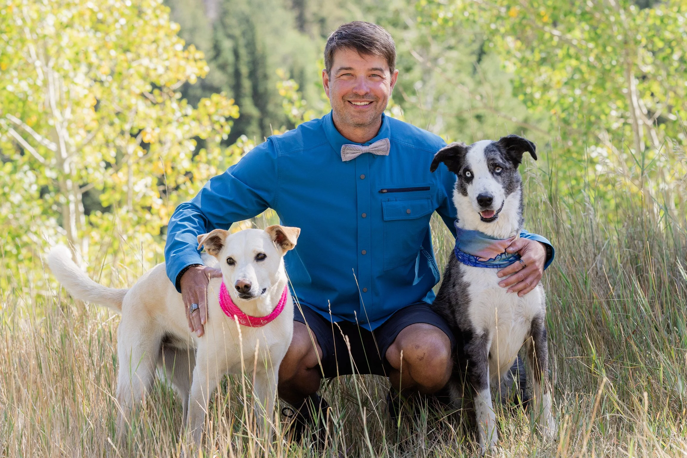 A man wearing a blue shirt and gray bow tie is kneeling in a grassy field with two dogs, one yellow and white with a pink bandana, and the other black and white with a blue bandana. The background shows greenery and trees.