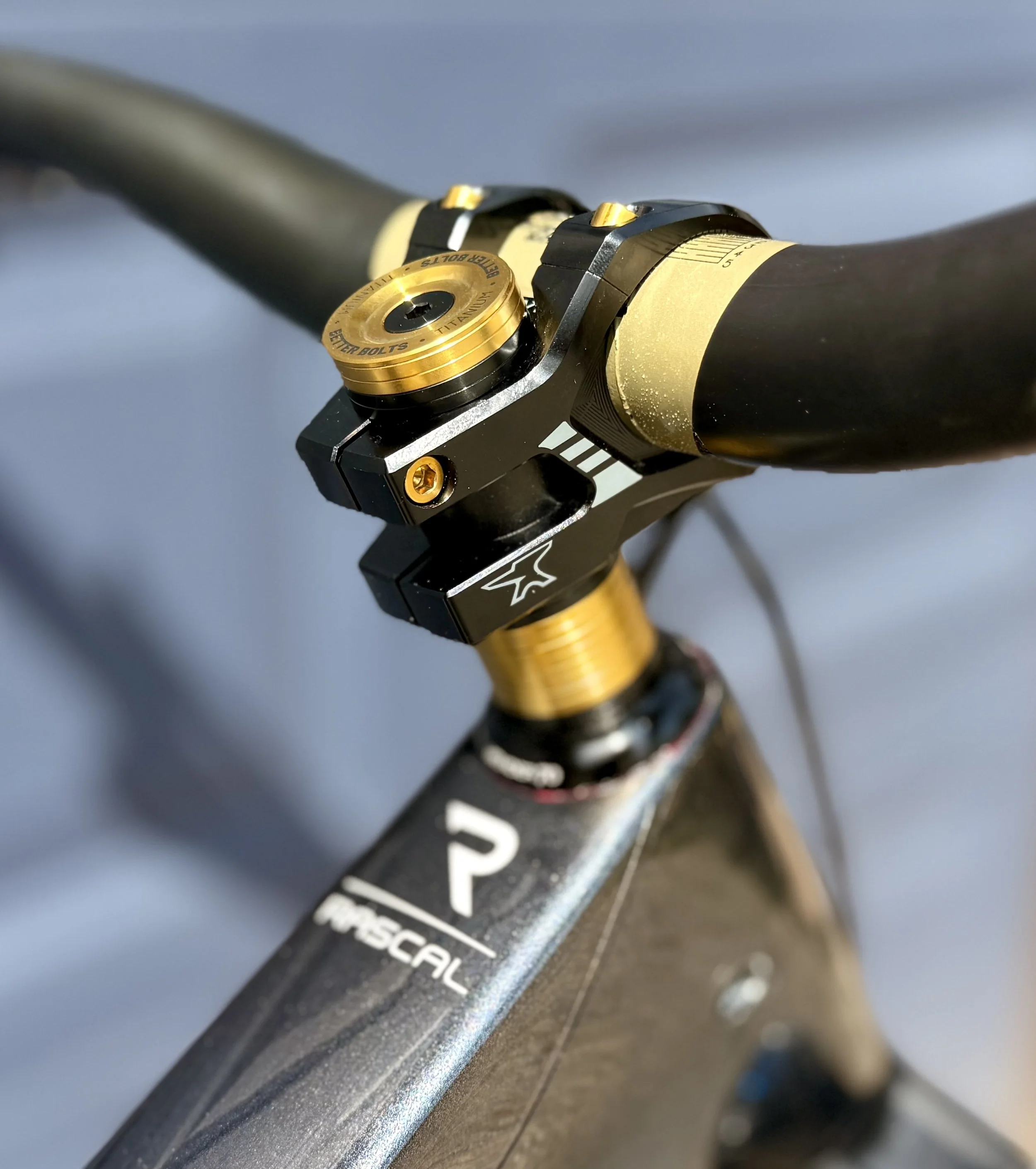 Close-up of a mountain bike handlebar with a black and gold suspension component and a bike brand logo.