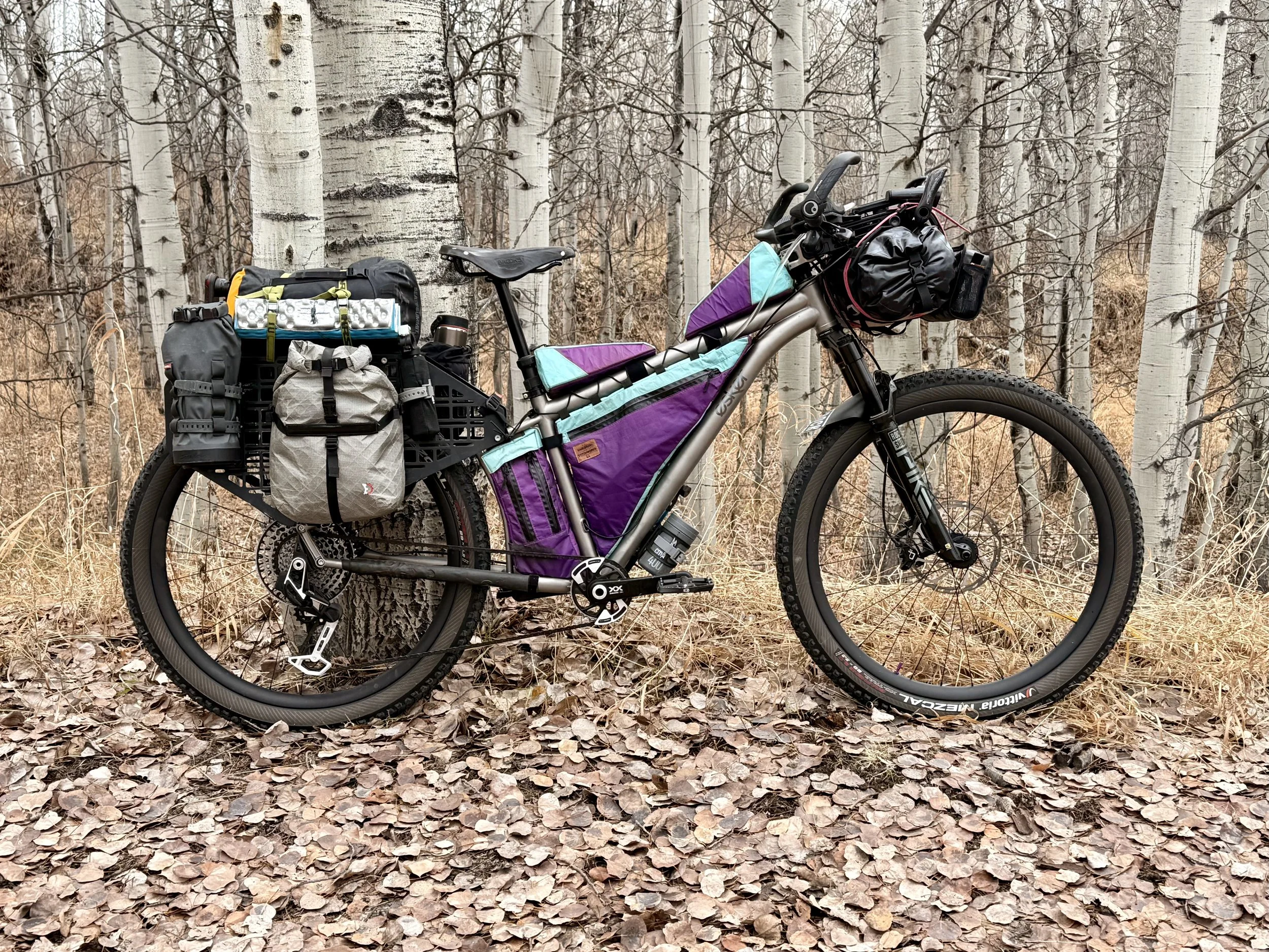 A mountain bike equipped with multiple bags and gear is parked in a forest of leafless aspen trees with white bark, on a ground covered with dry leaves.